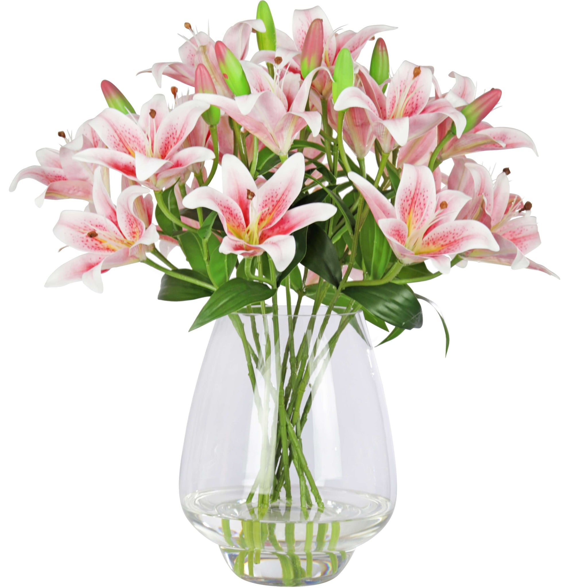Stargazer Lilies Dogs Allergic To Lilies La Lilies Each Jewelosco - Main Image