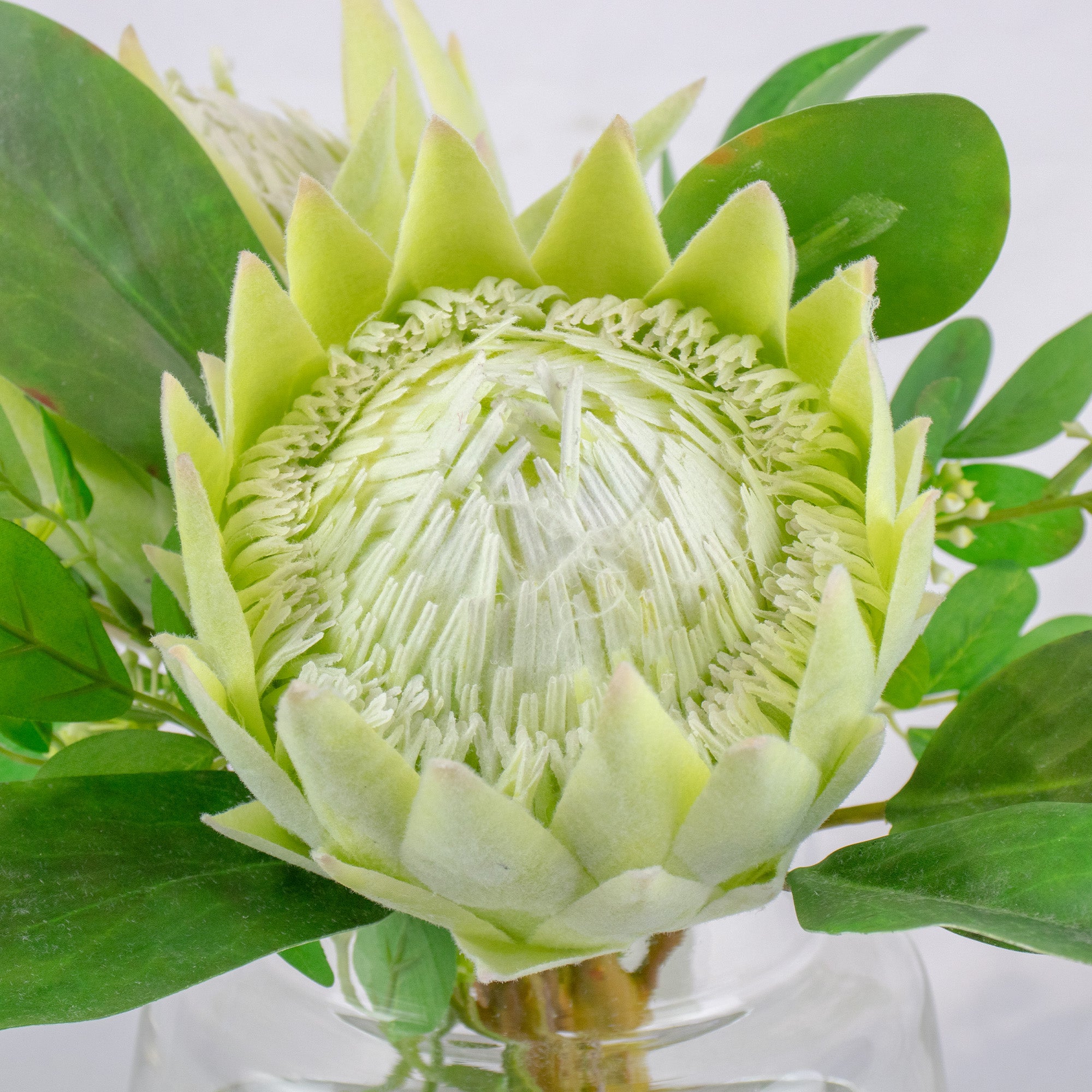 28cm Faux Green Protea Arrangement