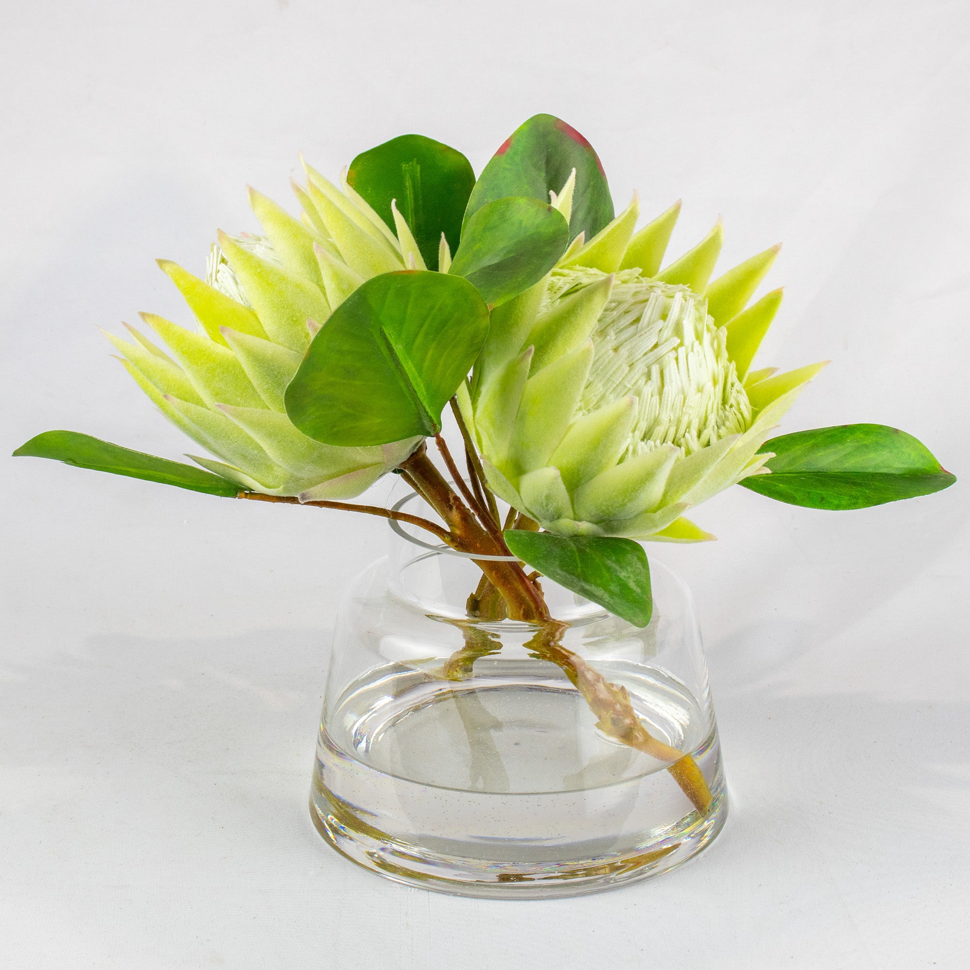 28cm Faux Green Protea Arrangement