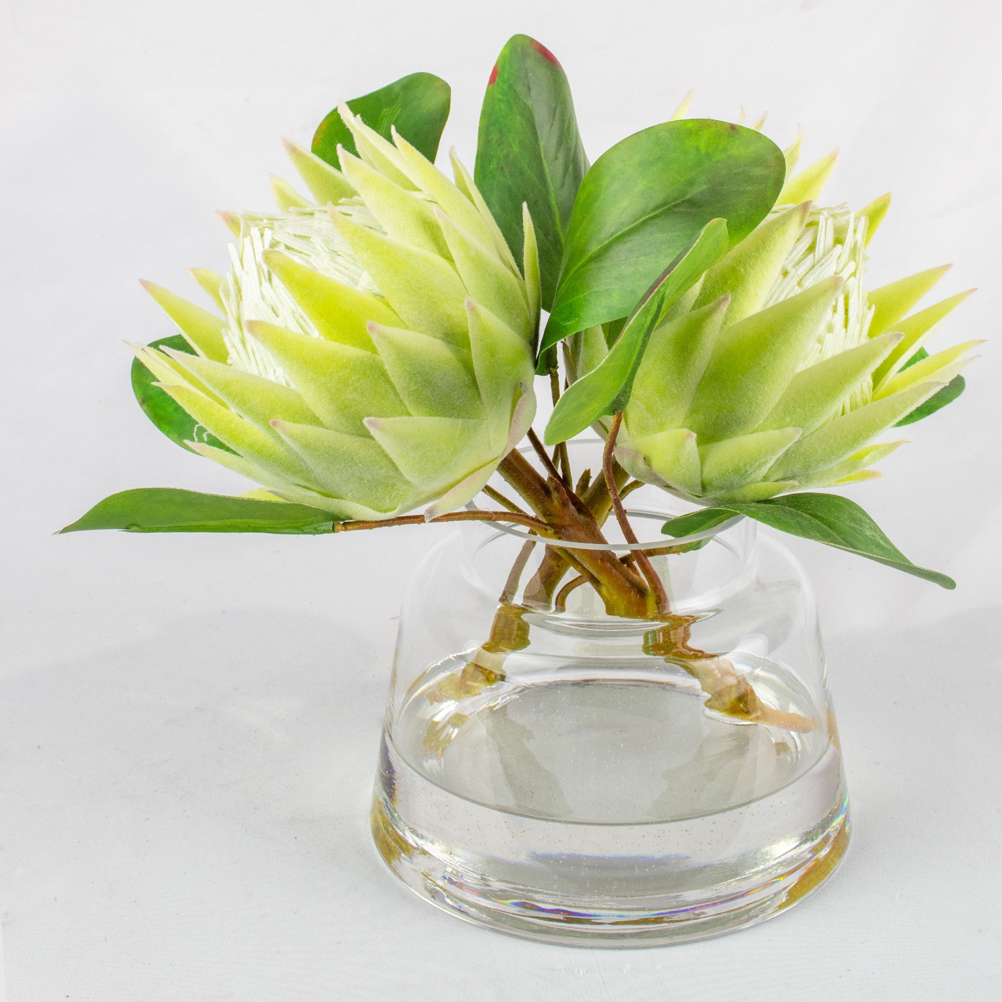 28cm Faux Green Protea Arrangement