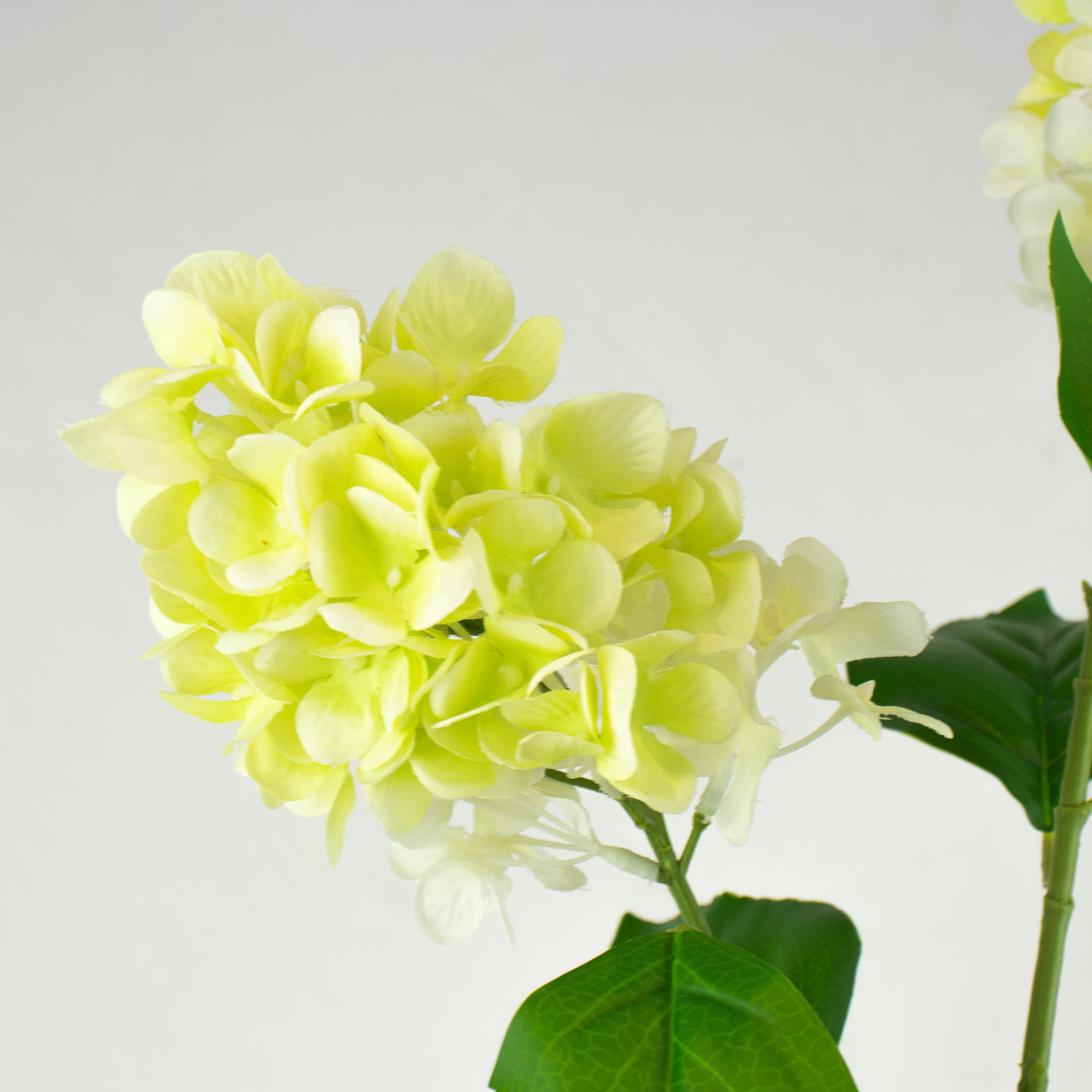 Cone Hydrangea Spray - Green