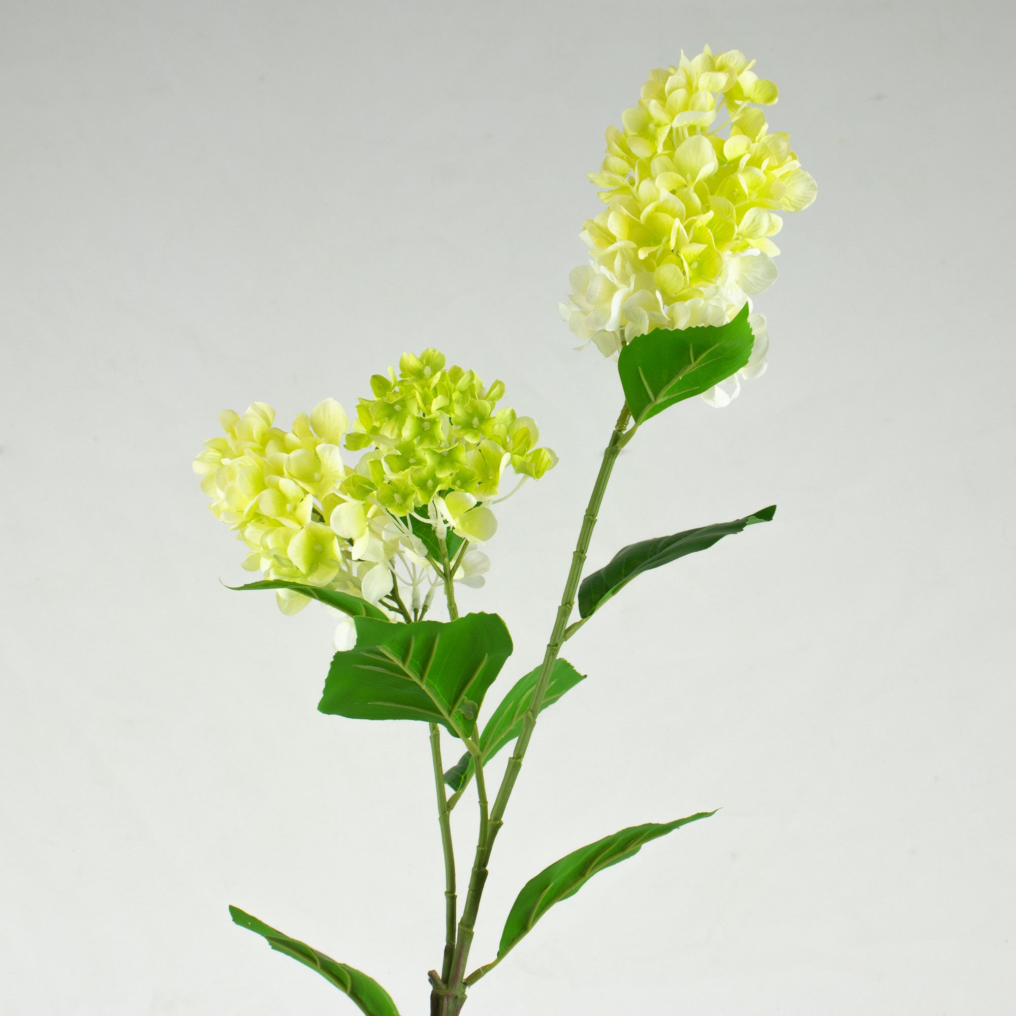 Cone Hydrangea Spray - Green