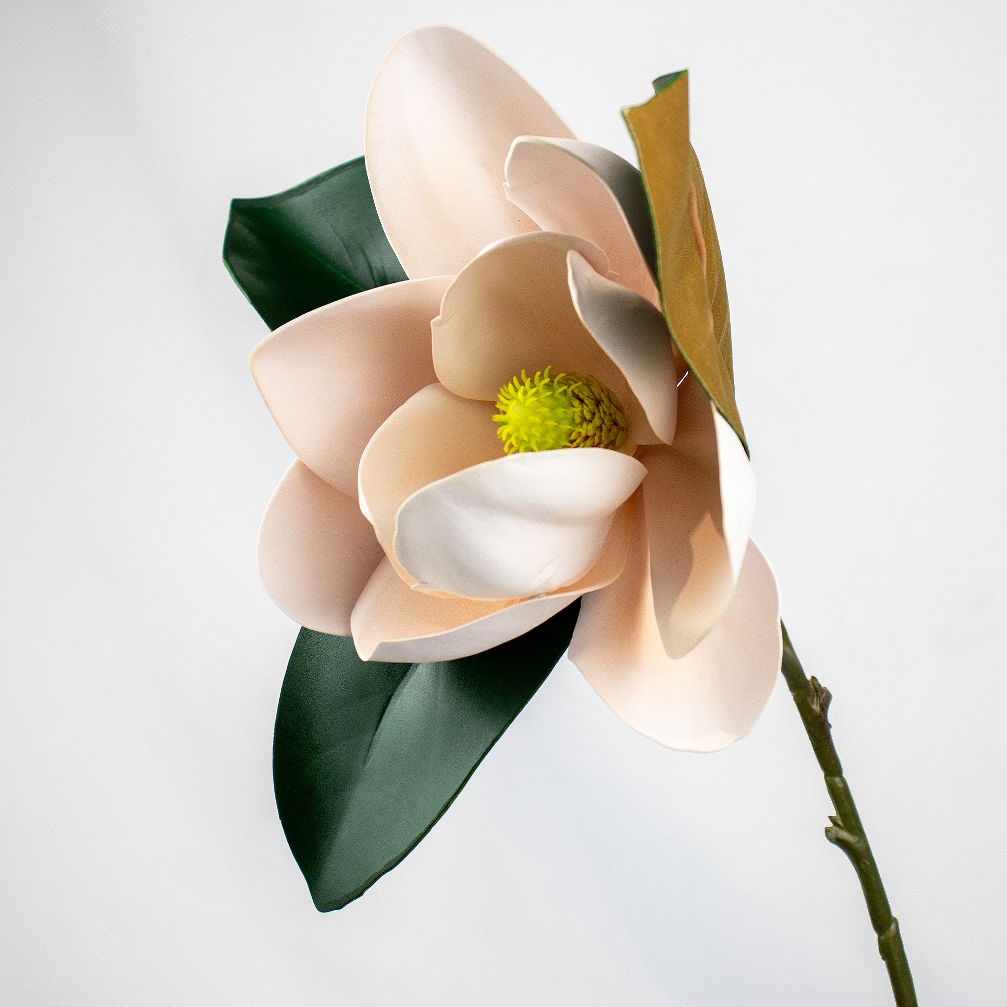 Magnolia Stem - Pink