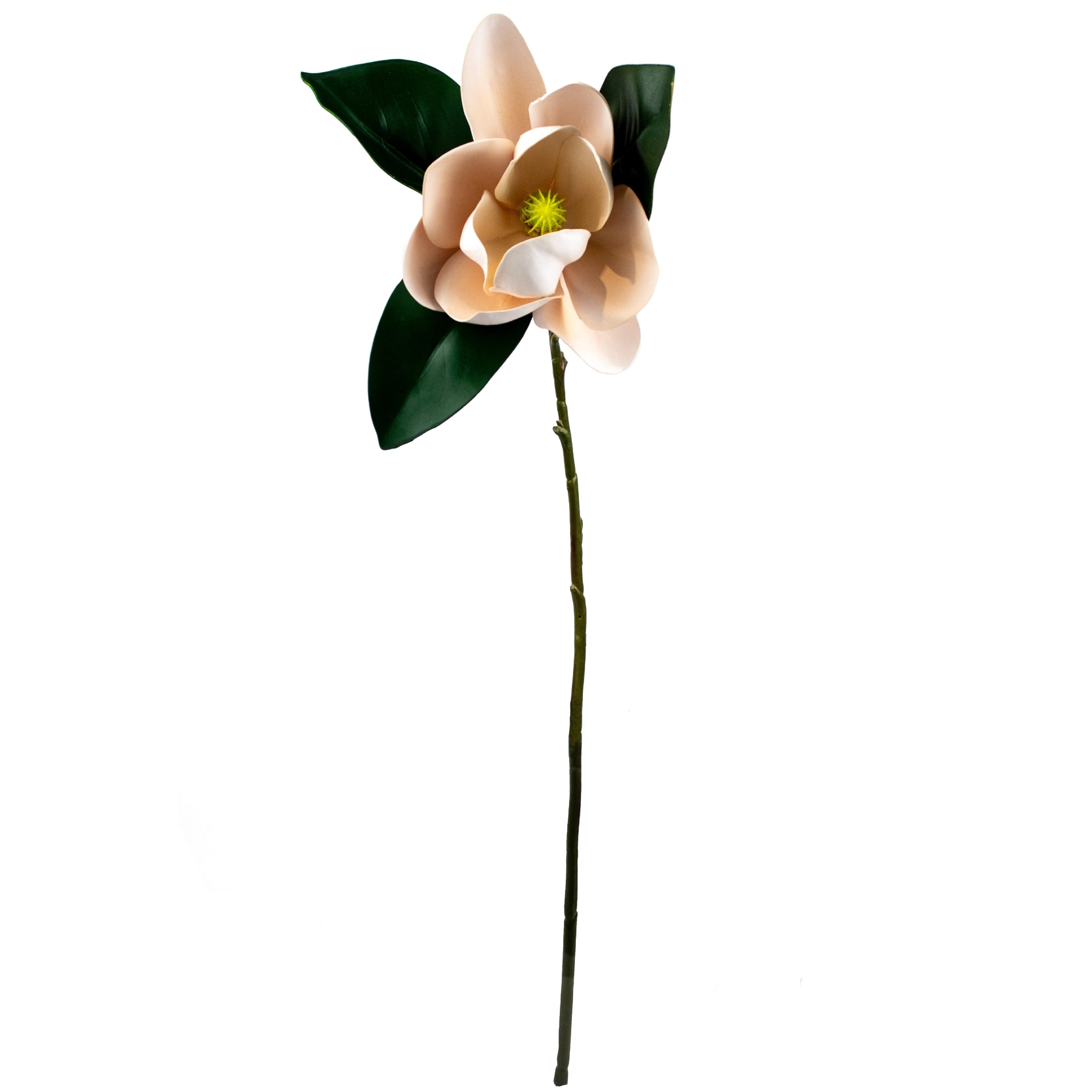 Magnolia Stem - Pink