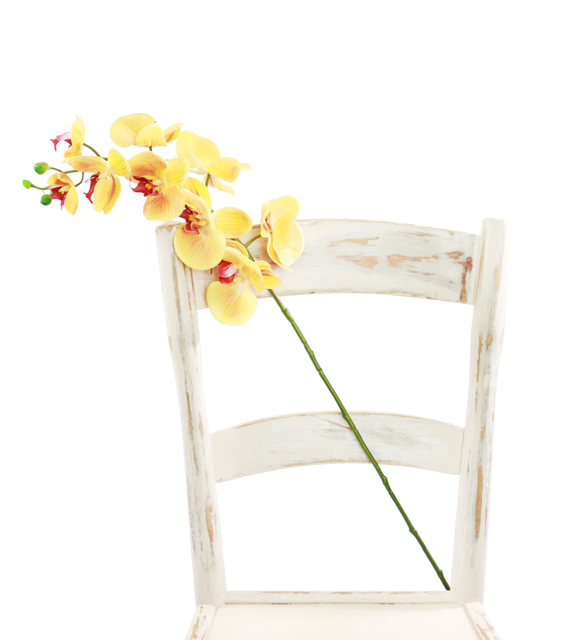 Artificial Phalenopsis Orchid - Yellow 77cm