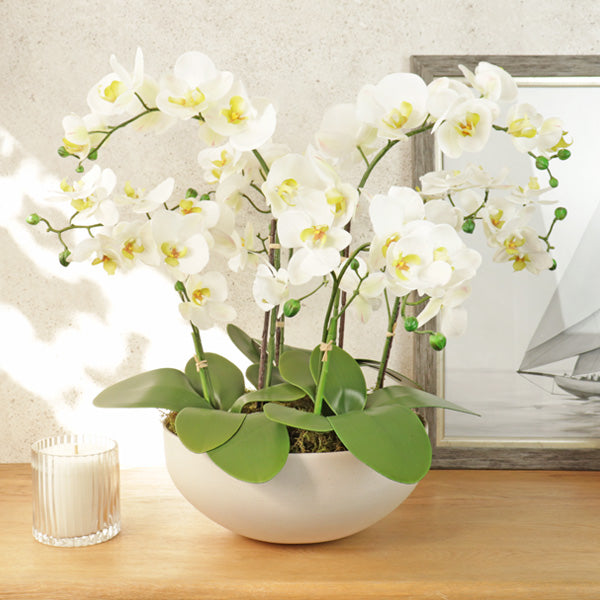 Fake orchids planted in a sandstone coloured pot