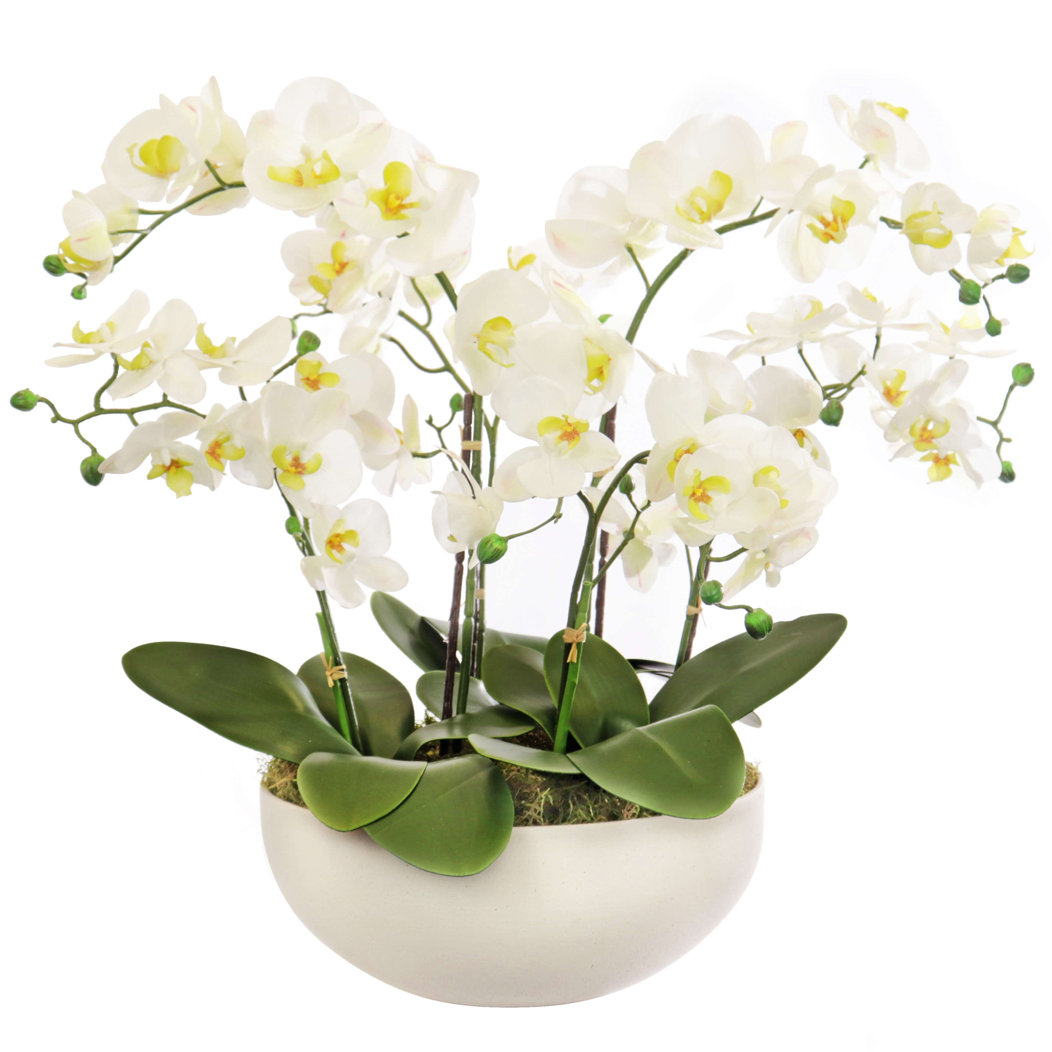 artificial orchid plant in sandstone pot