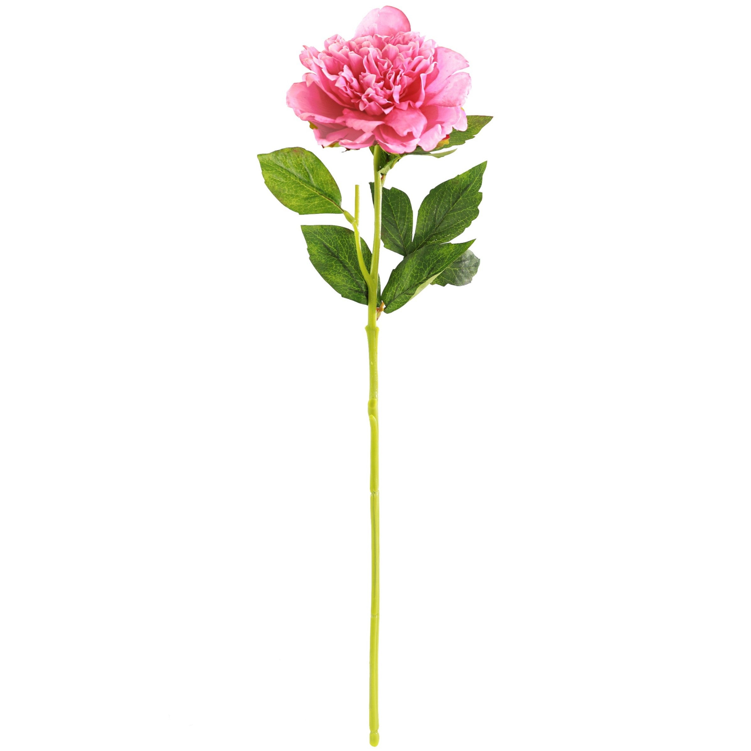 Peony Stem - Light Pink Real-Touch