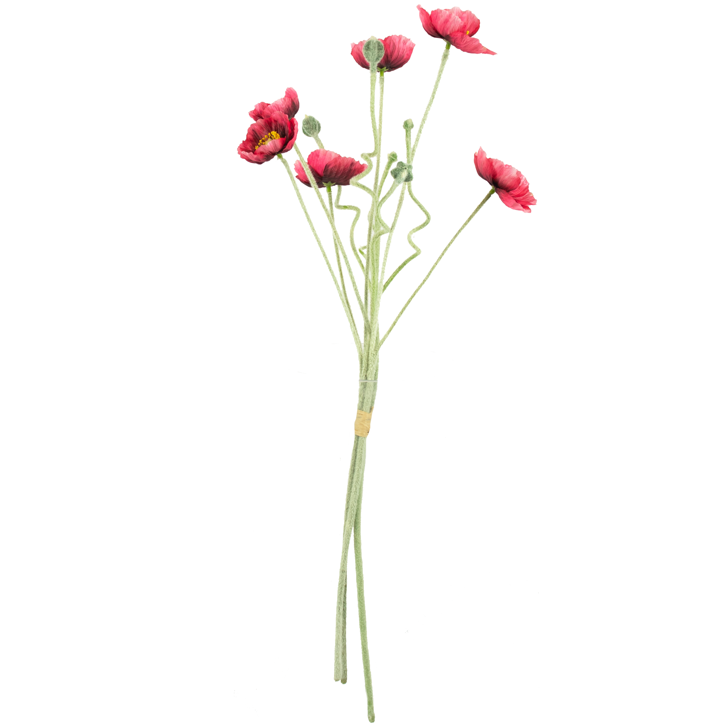 Poppy Flower & Bud Bundle - Red