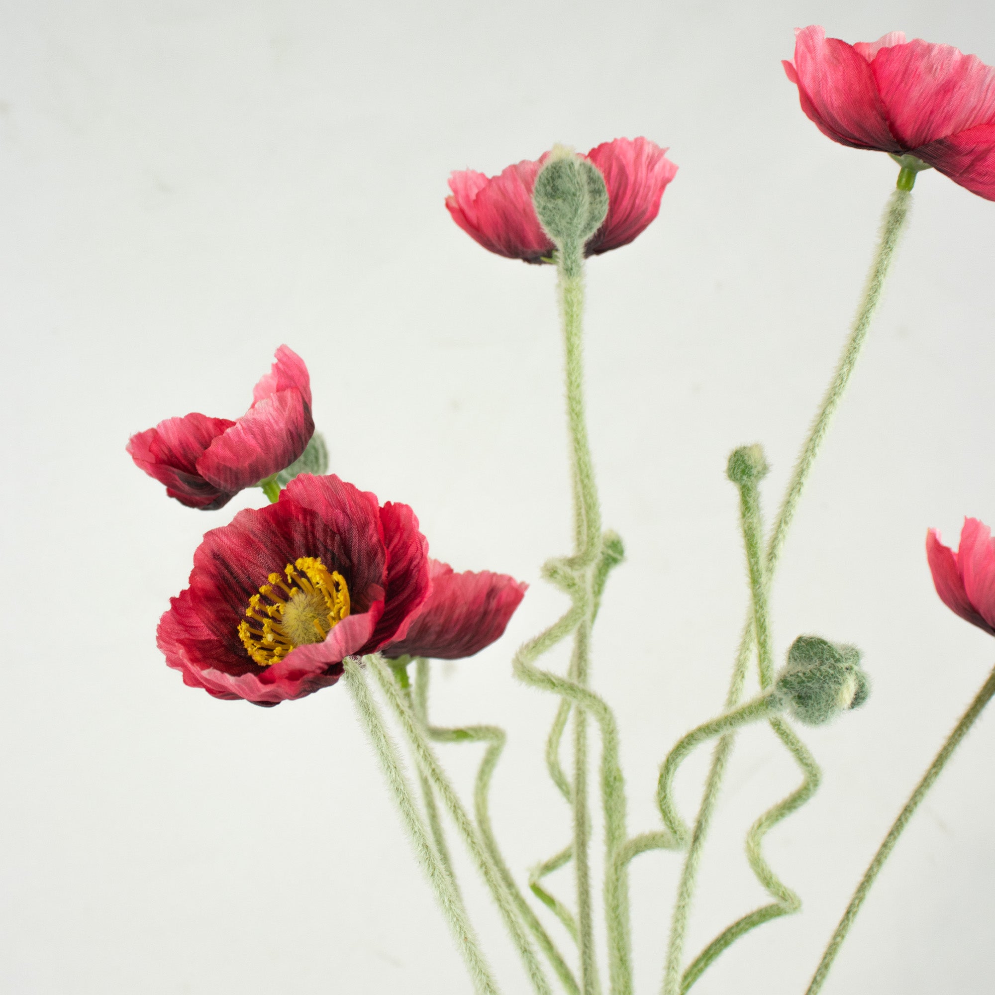 Poppy Flower & Bud Bundle - Red