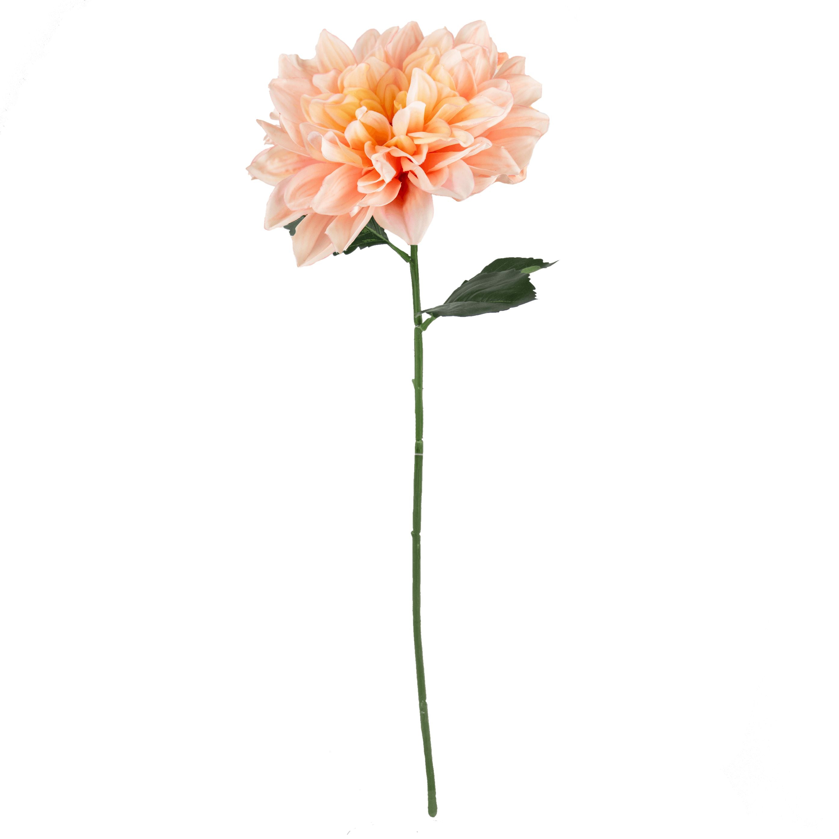 Dahlia Stem - Peach