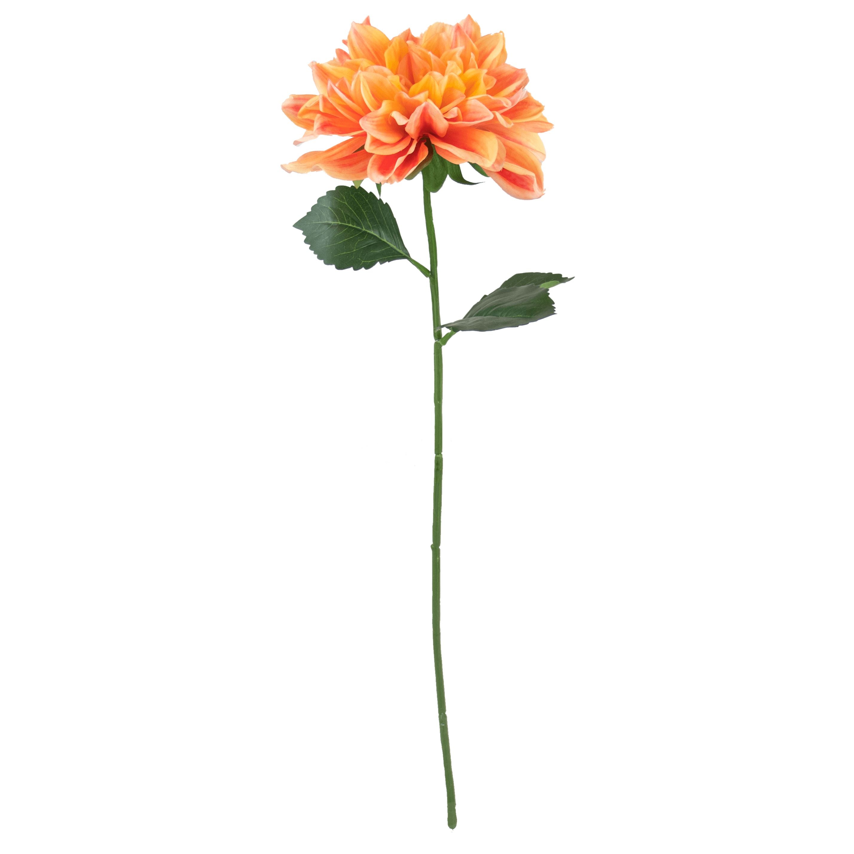 Dahlia Stem - Salmon