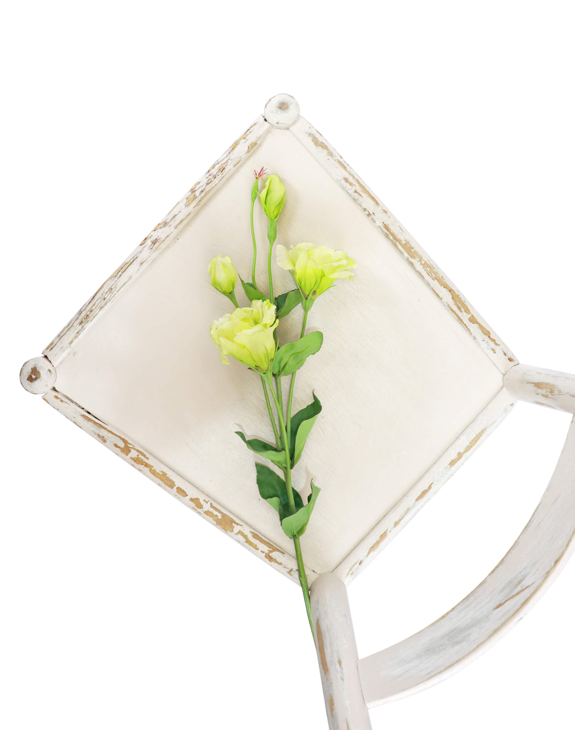 Lisianthus Spray - Green