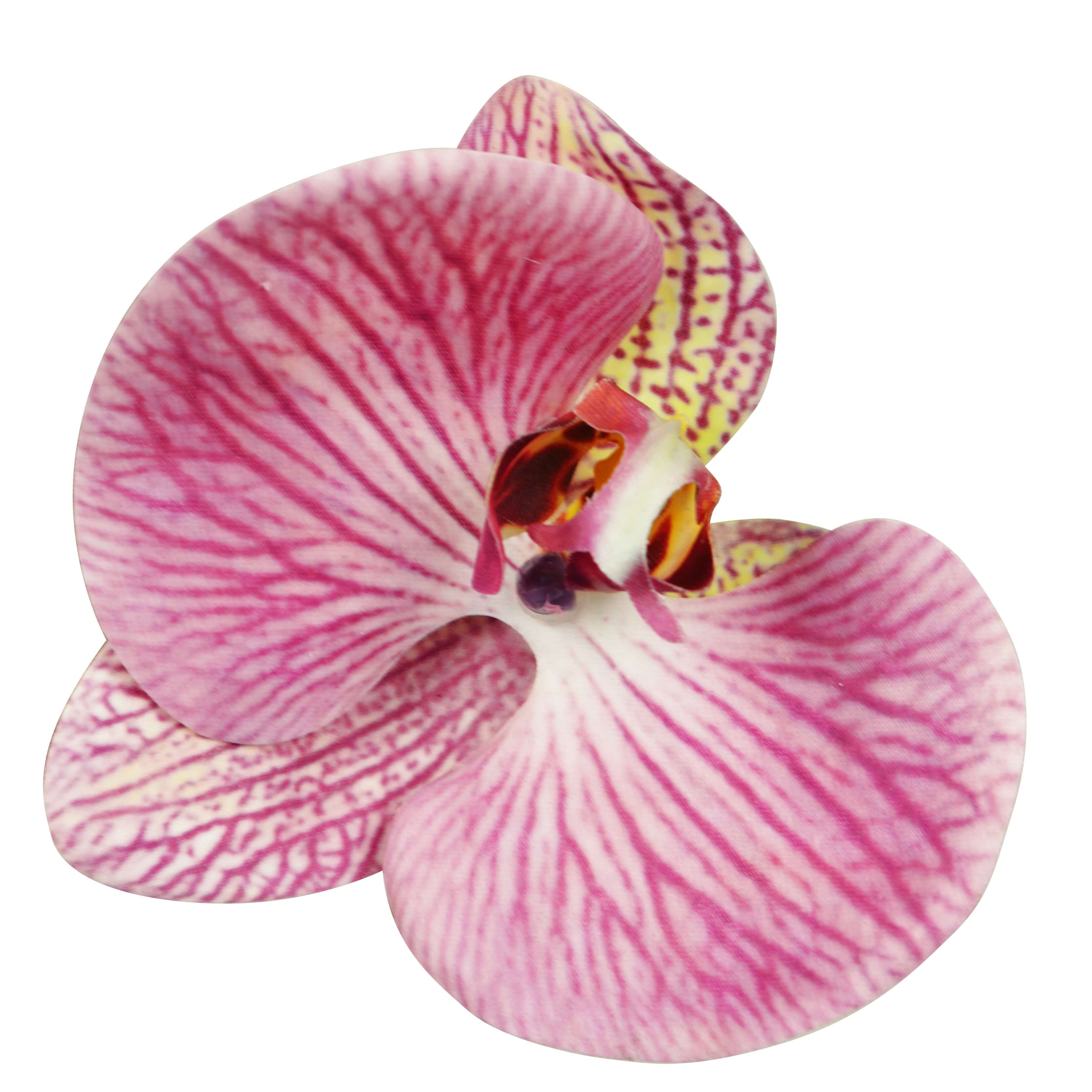 artificial orchid flower stem