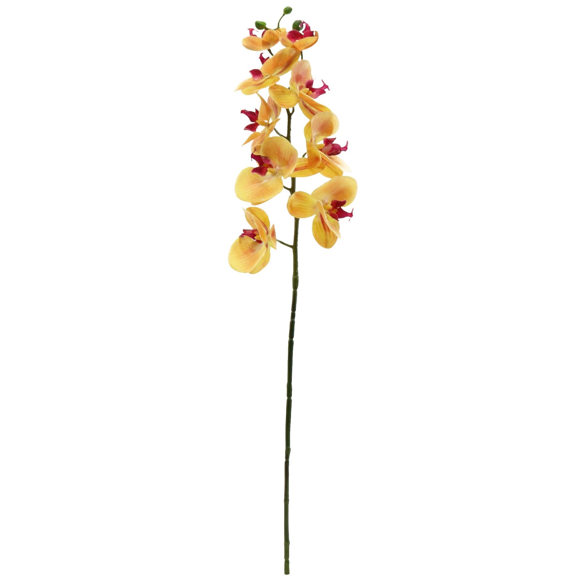 Artificial Phalenopsis Orchid - Yellow 77cm