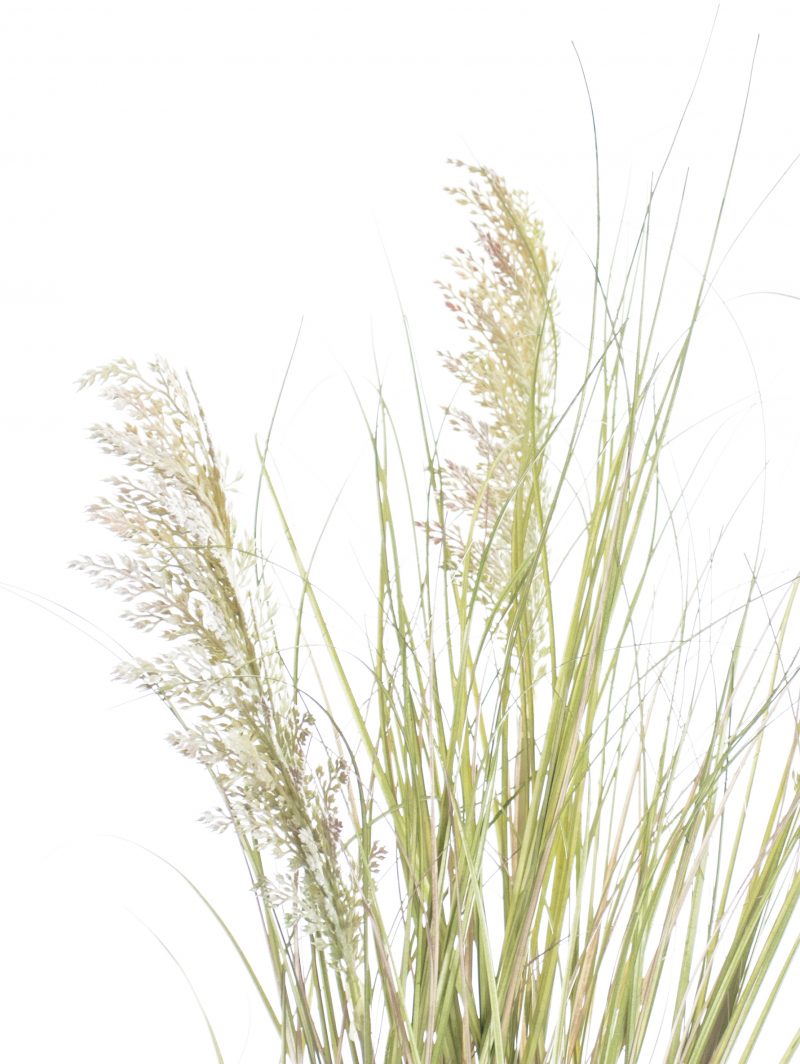 Artificial Pampas Grass Plant