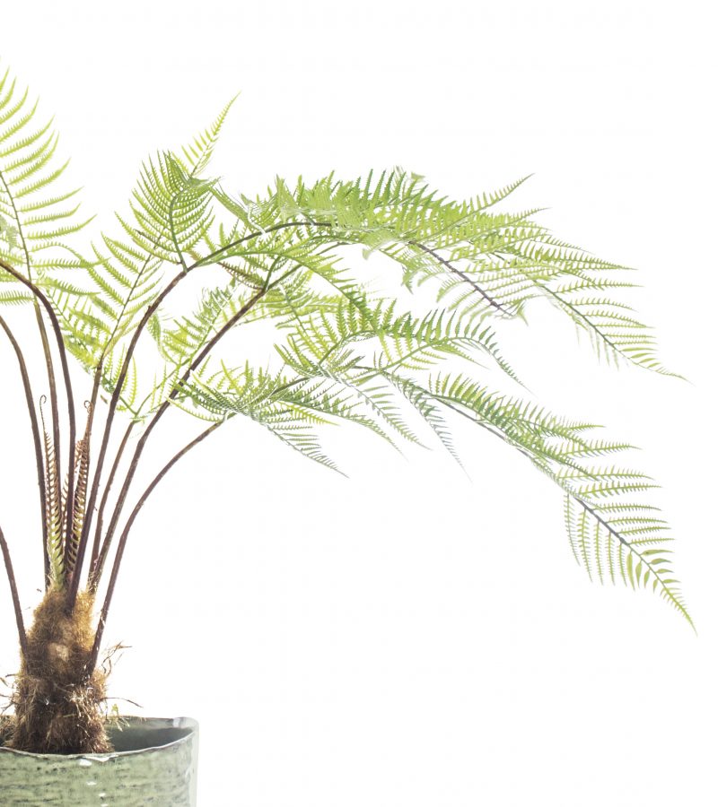 Fake Sword Fern Plant in Ceramic pot