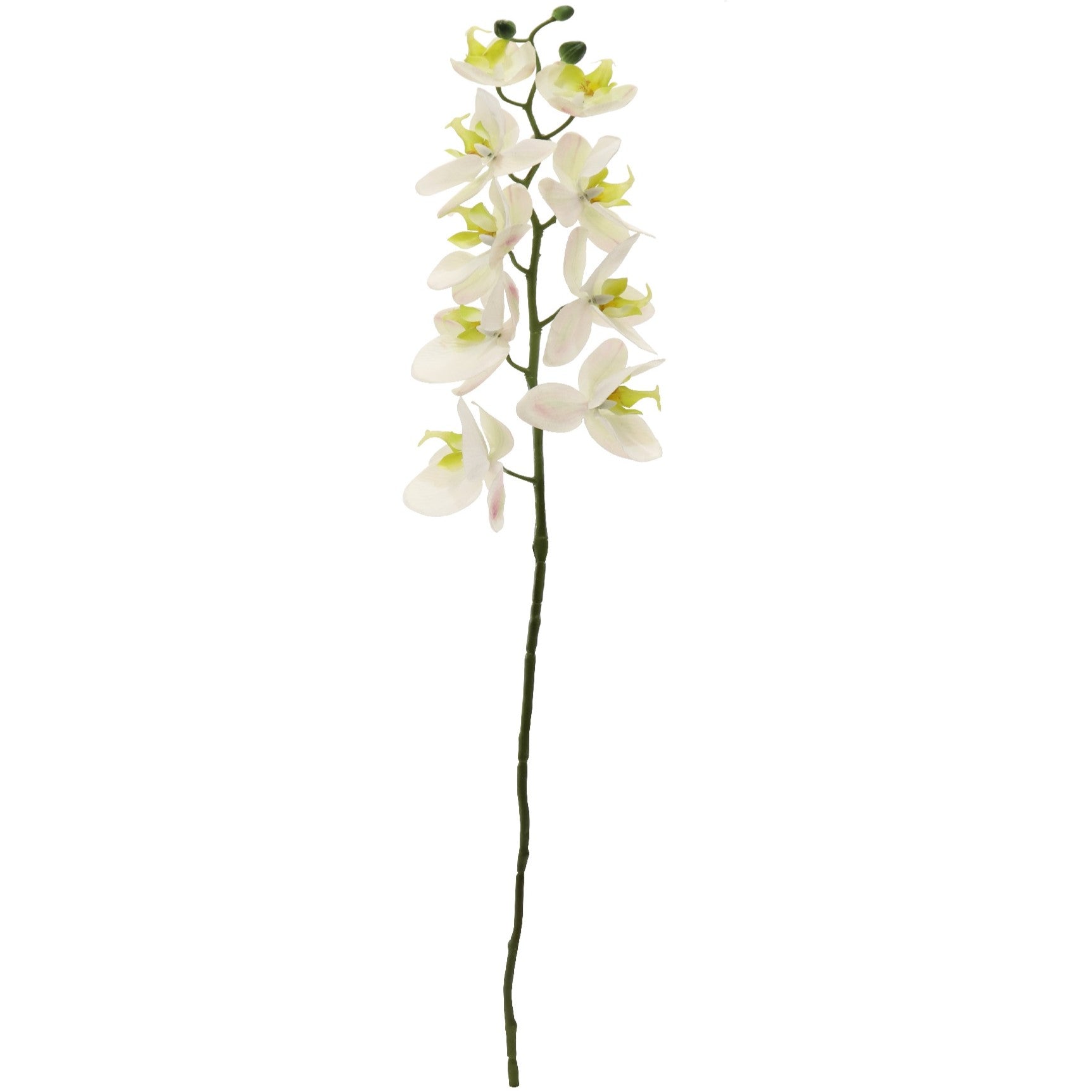 artificial orchid flower stem