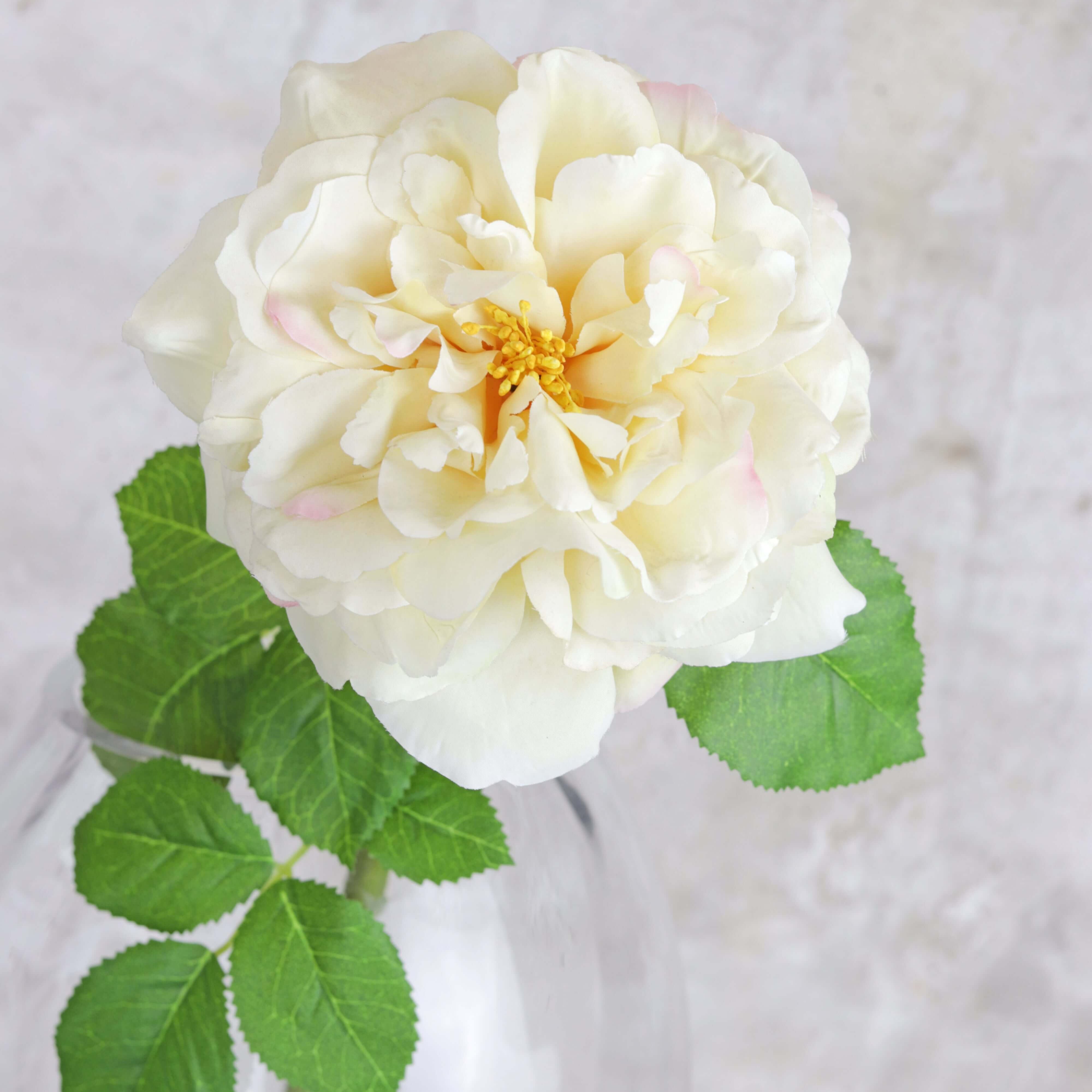 Artificial Wild Rose Spray in Cream