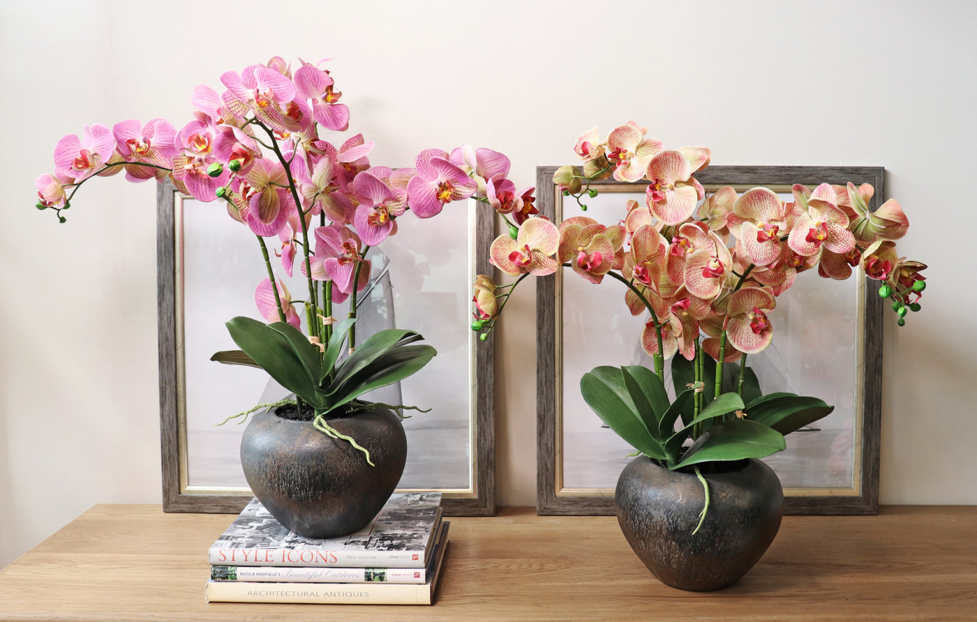 Artificial orchid plant in pot