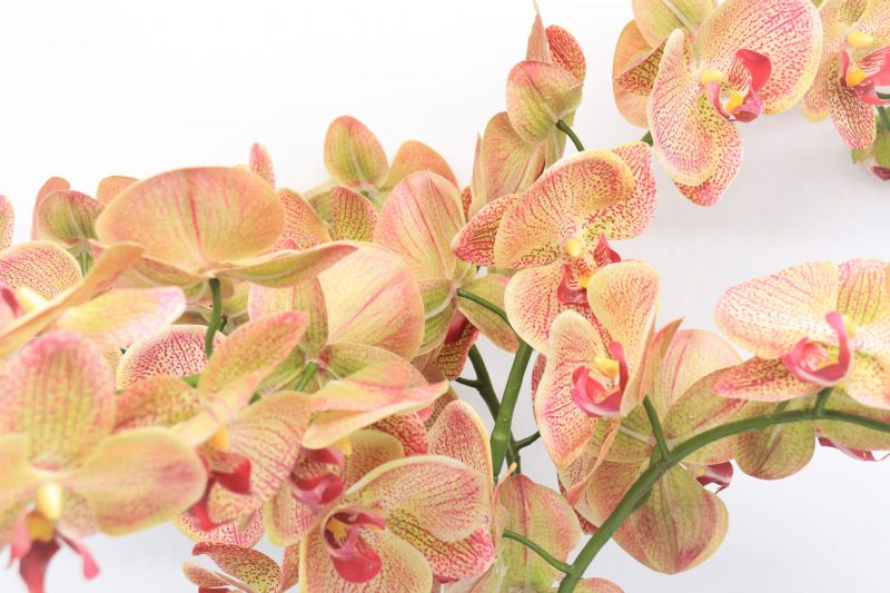 5 artificial apricot orchid plants