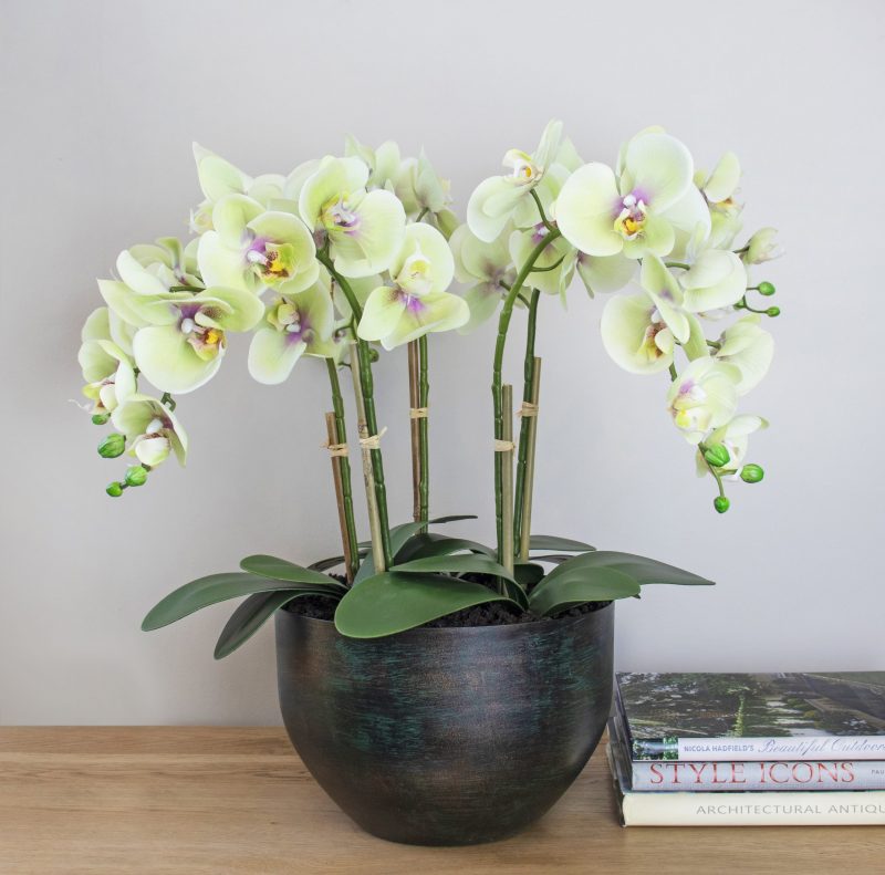 Artificial orchid plant
