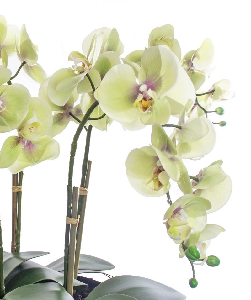 Artificial orchid plant