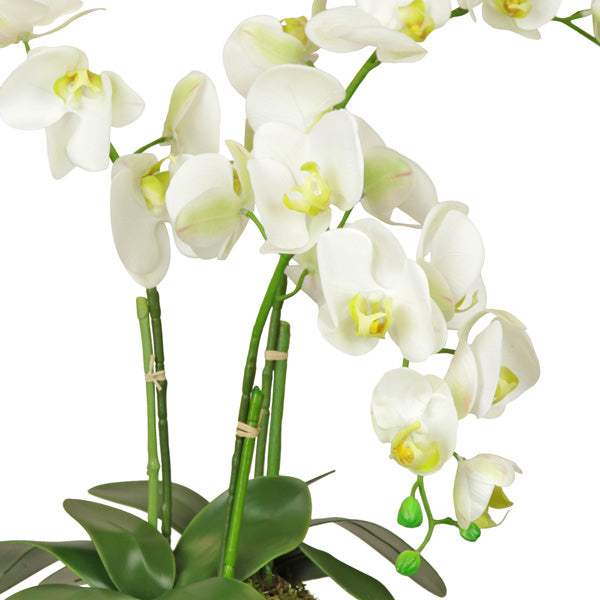 Silk fake Orchid Plant
