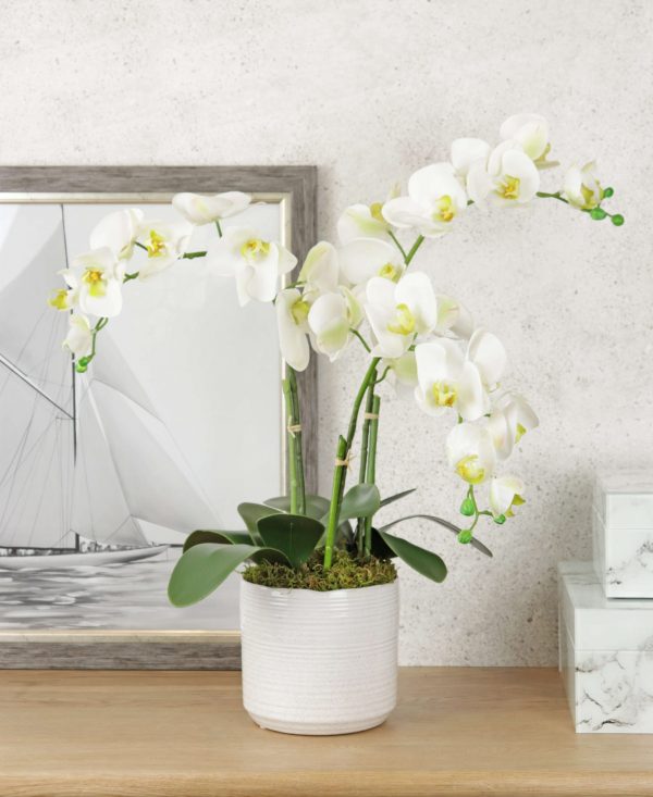 Artificial Orchid Plant