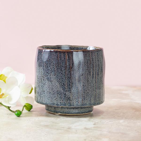 V-CER286-GY-lifestyle-web