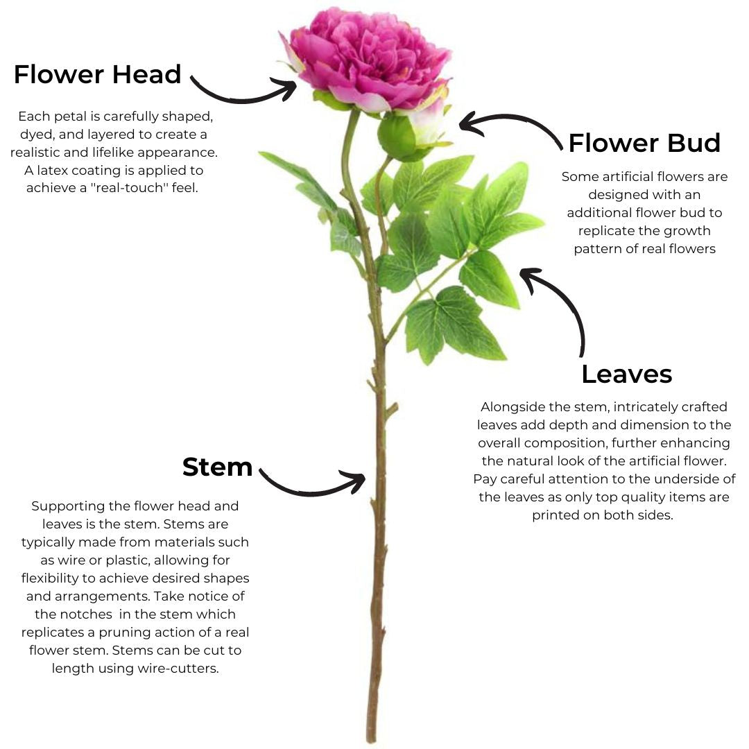 Inside A Flower Diagram