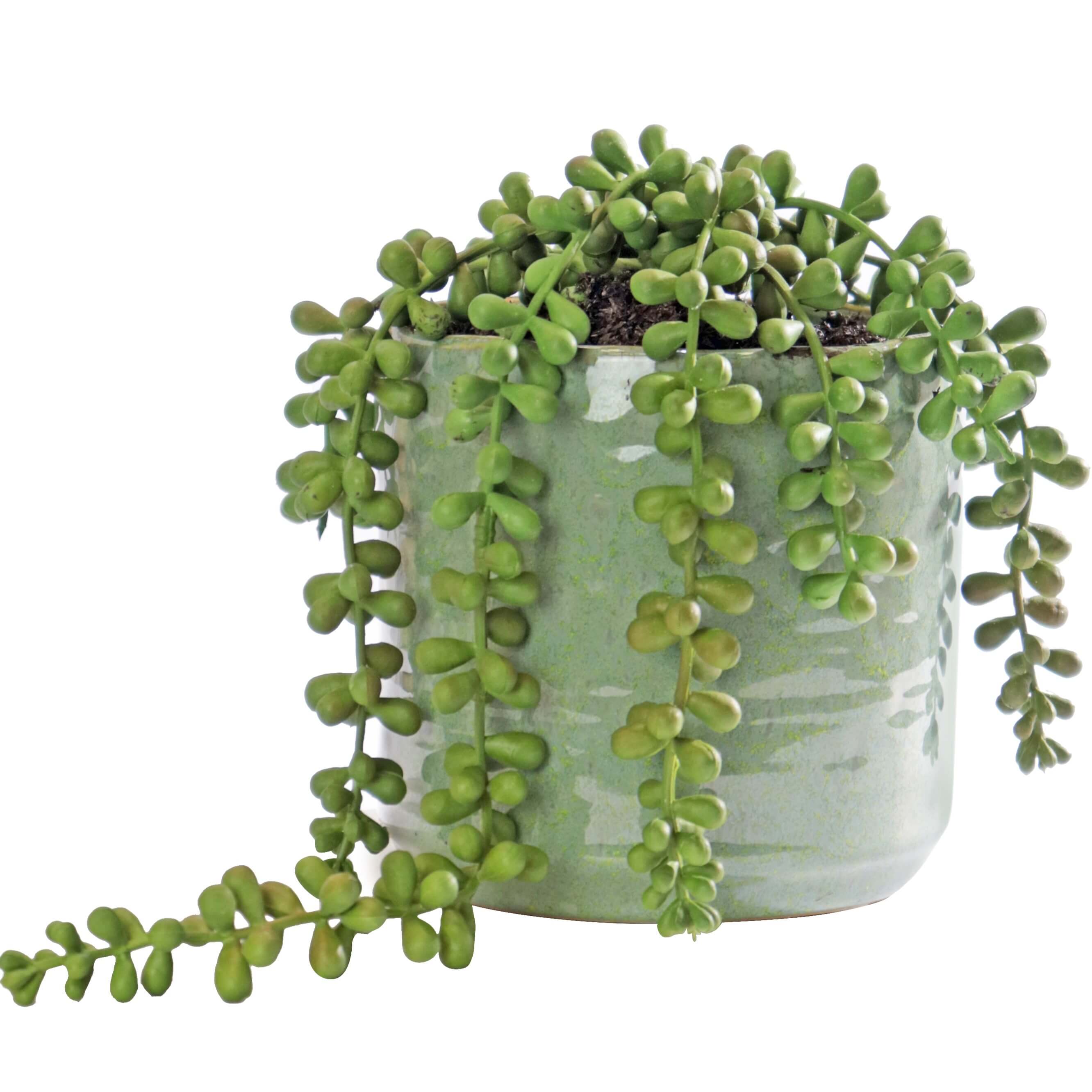 Artificial Greenery Plants and Sets available online