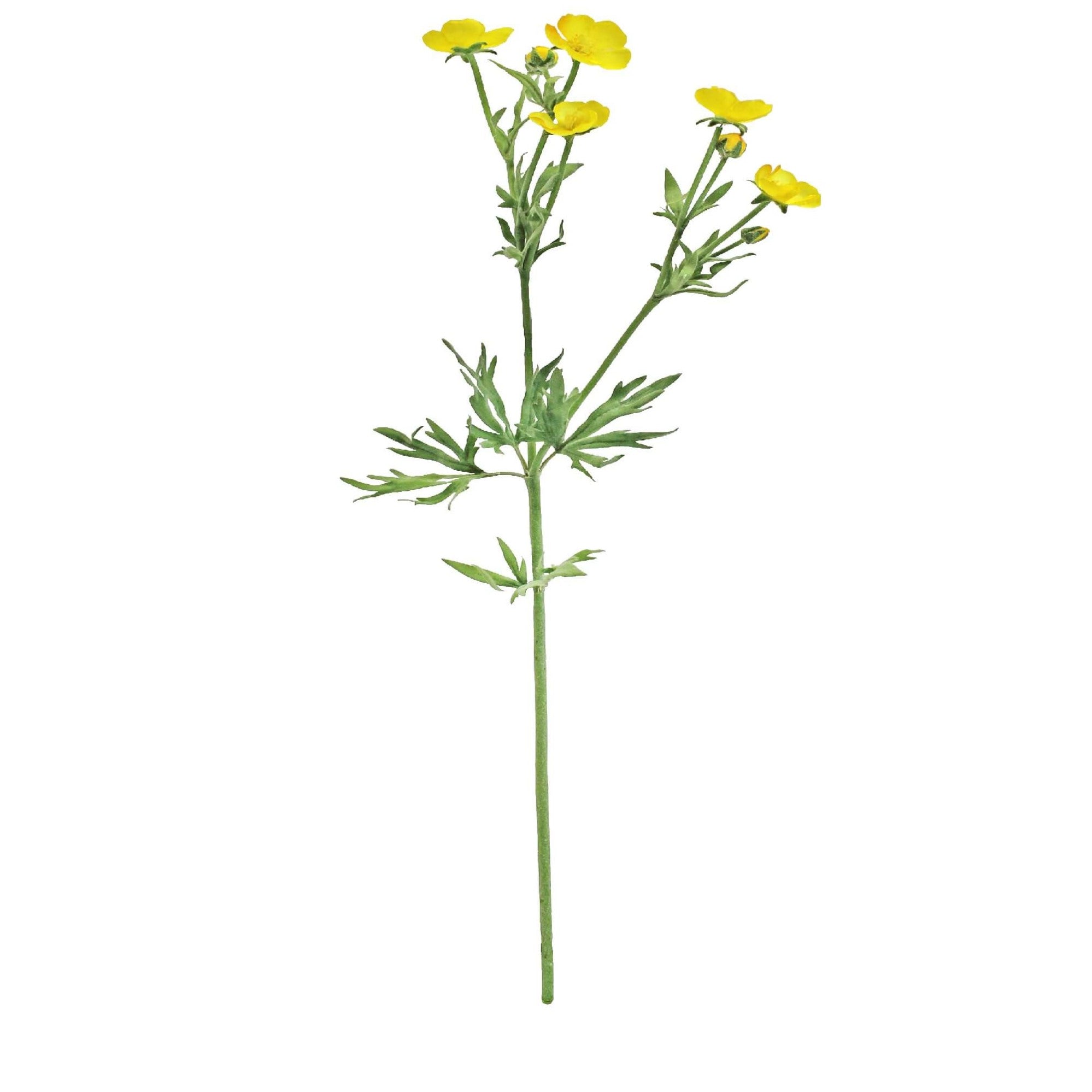 artificial yellow buttercup flower