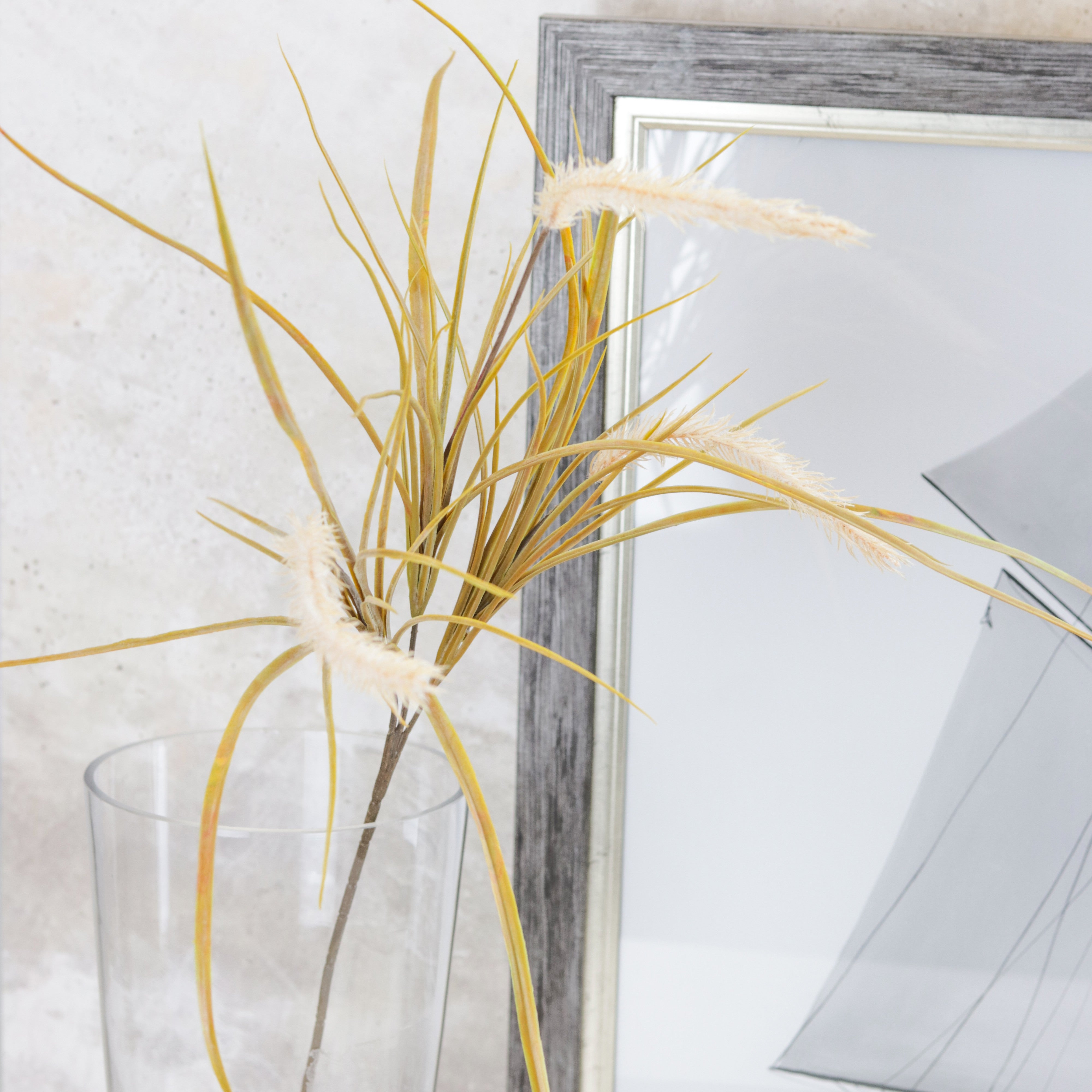 Pampas Grass Stem