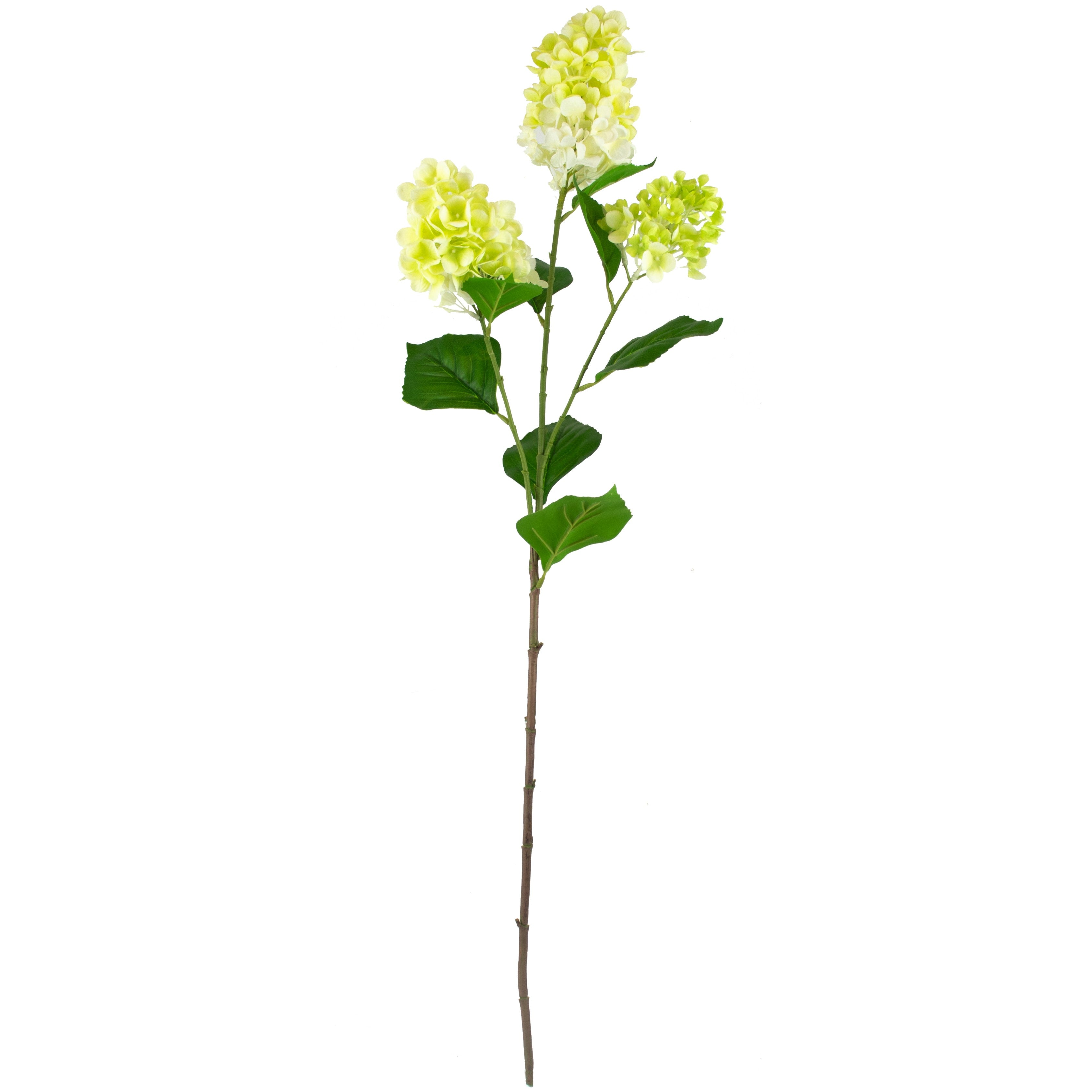Cone Hydrangea Spray - Green