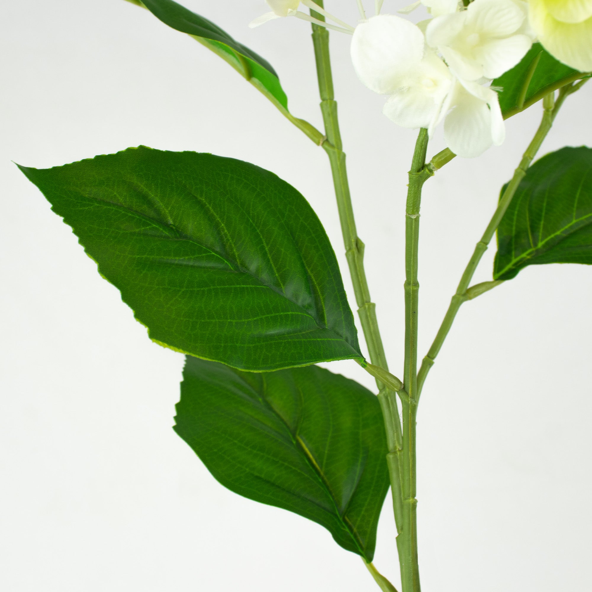 Cone Hydrangea Spray - Green