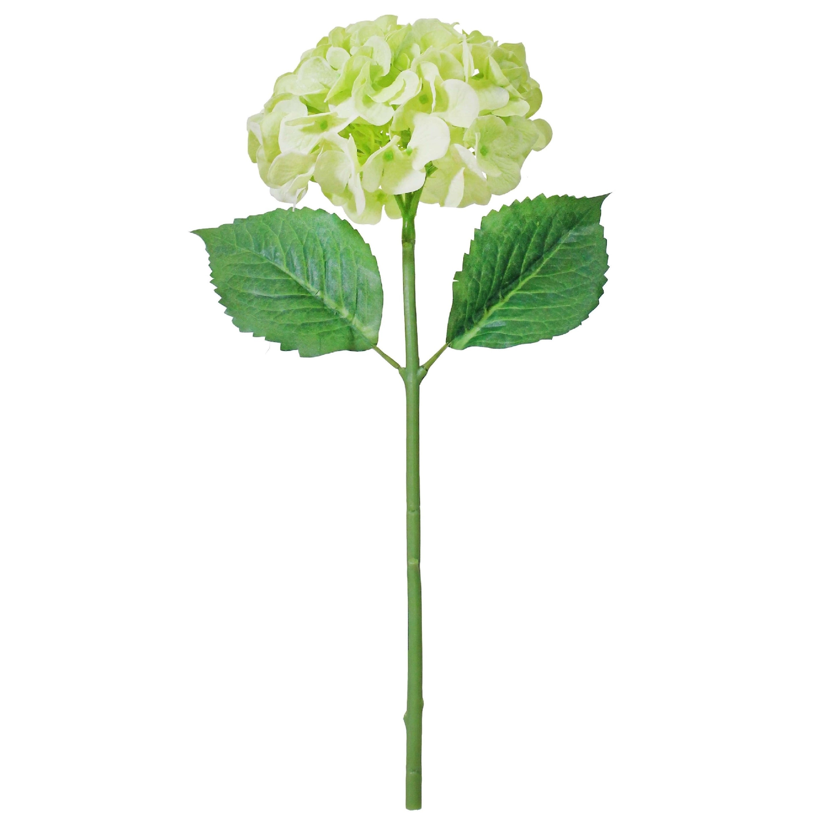 Green artificial Hydrangea flower stem