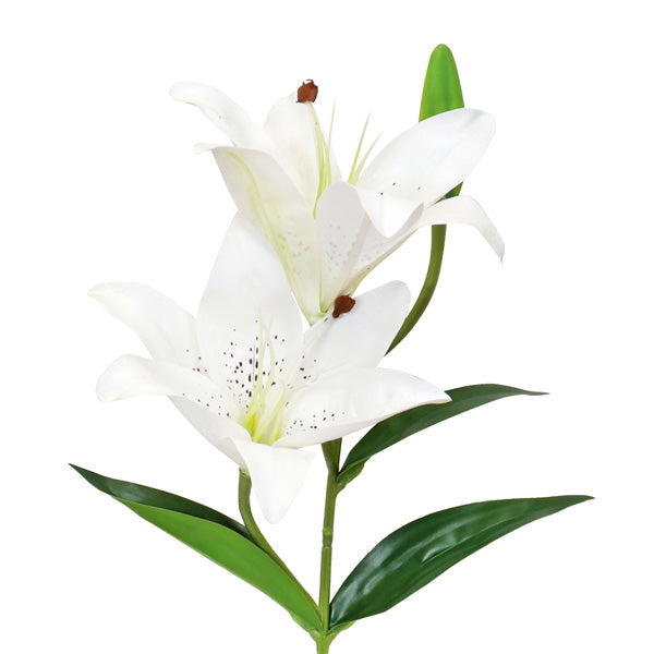 Tiger Lily Spray - White
