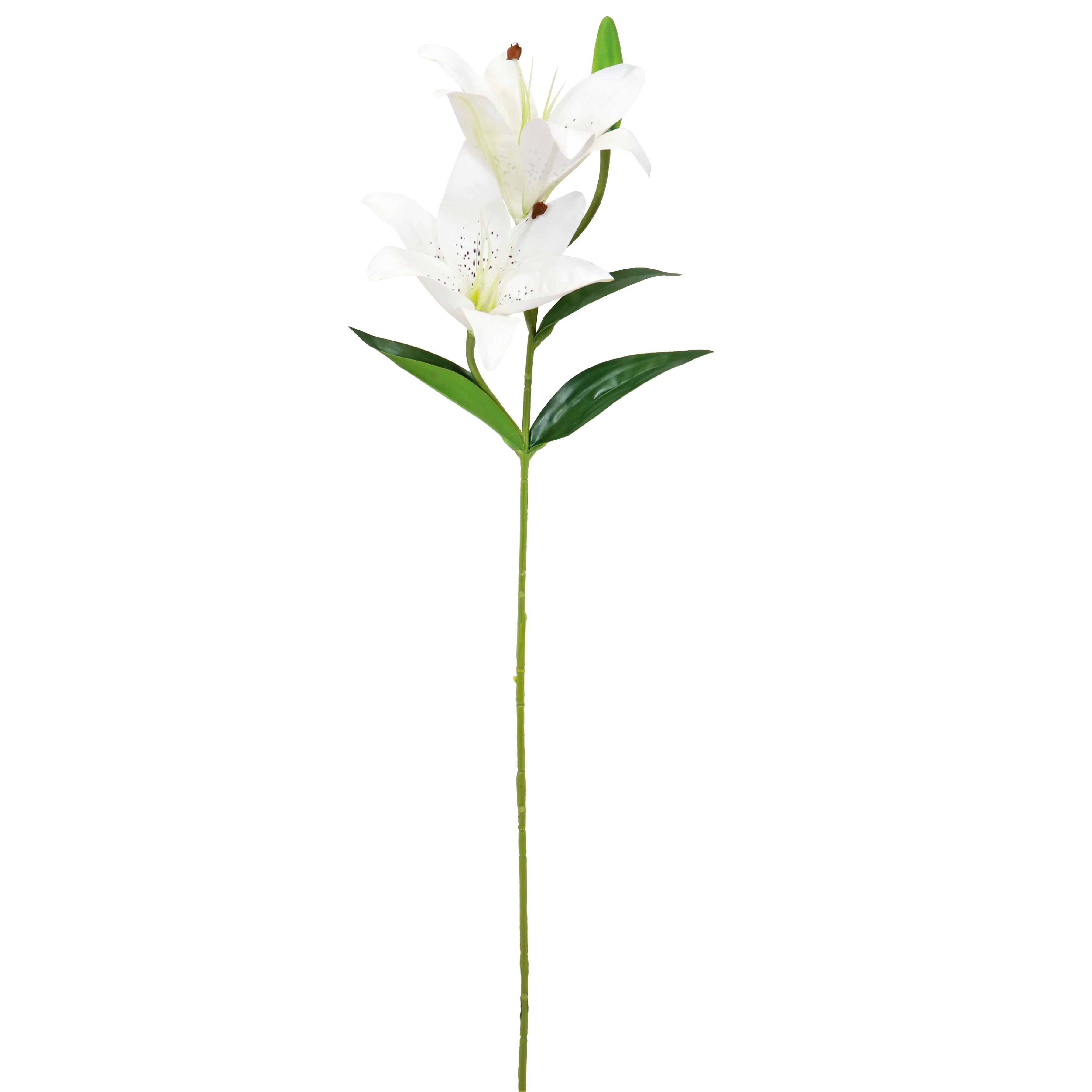 Tiger Lily Spray - White