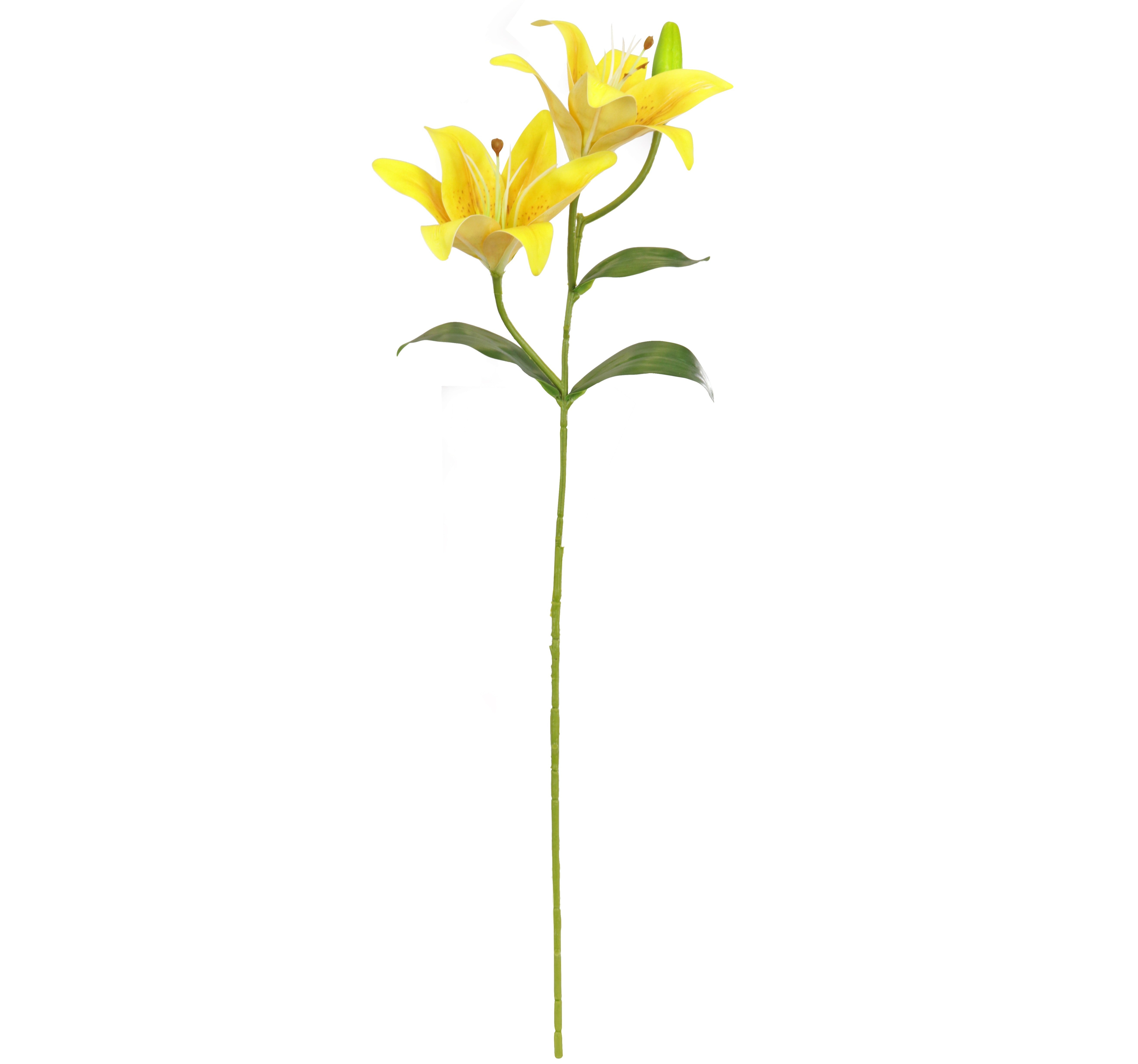 Tiger Lily Spray - Yellow