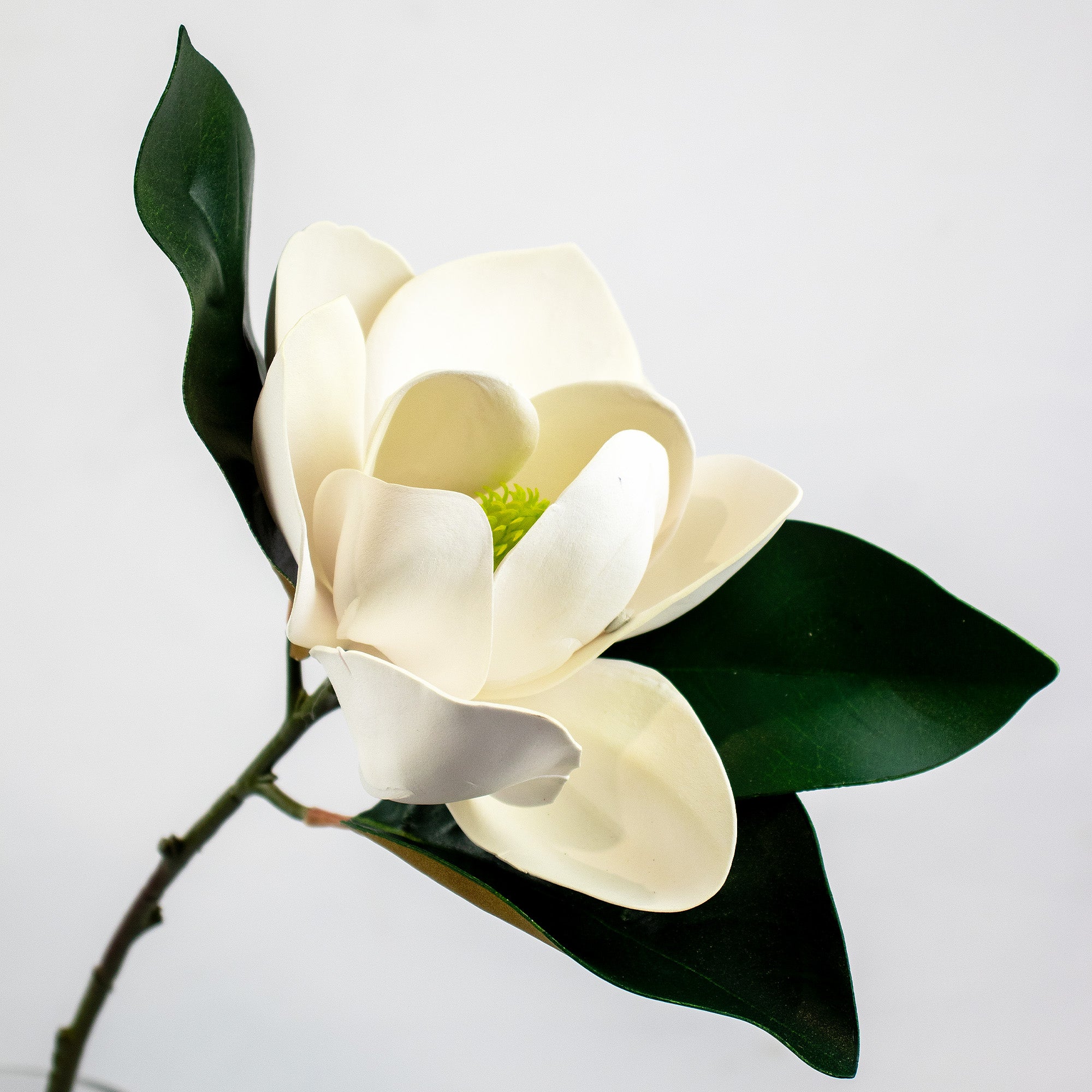 Magnolia Stem - White