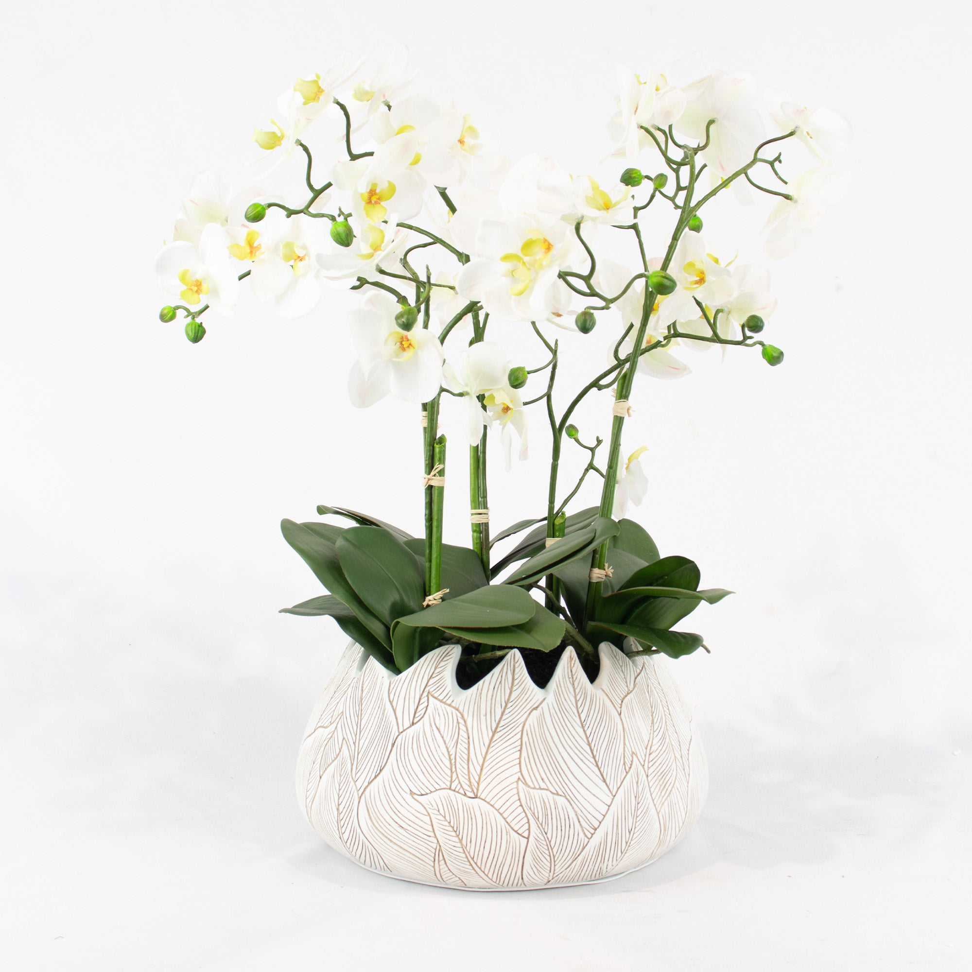 55cm Faux White Orchid Plant in Ceramic Leaf Planter