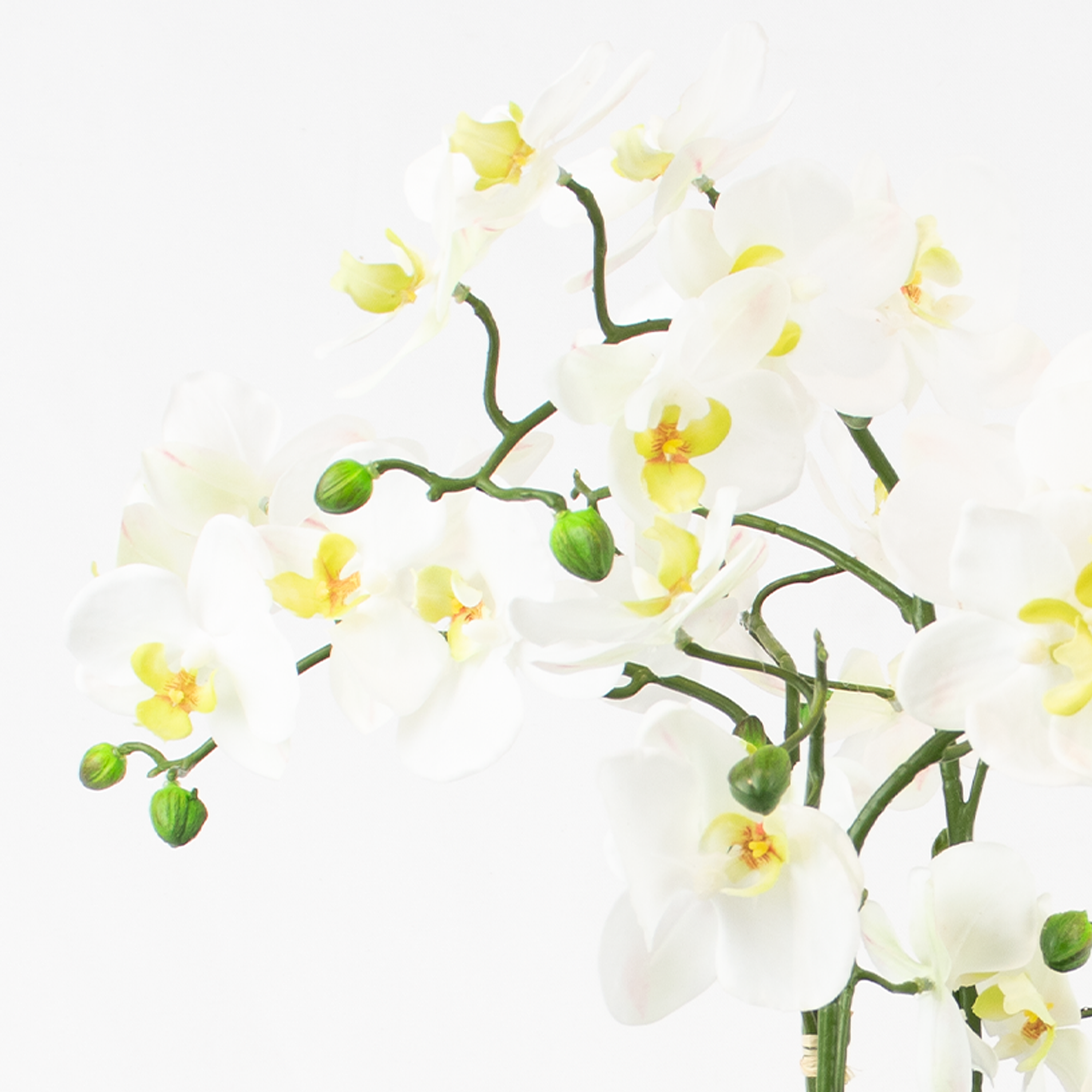 55cm Faux White Orchid Plant in Ceramic Leaf Planter