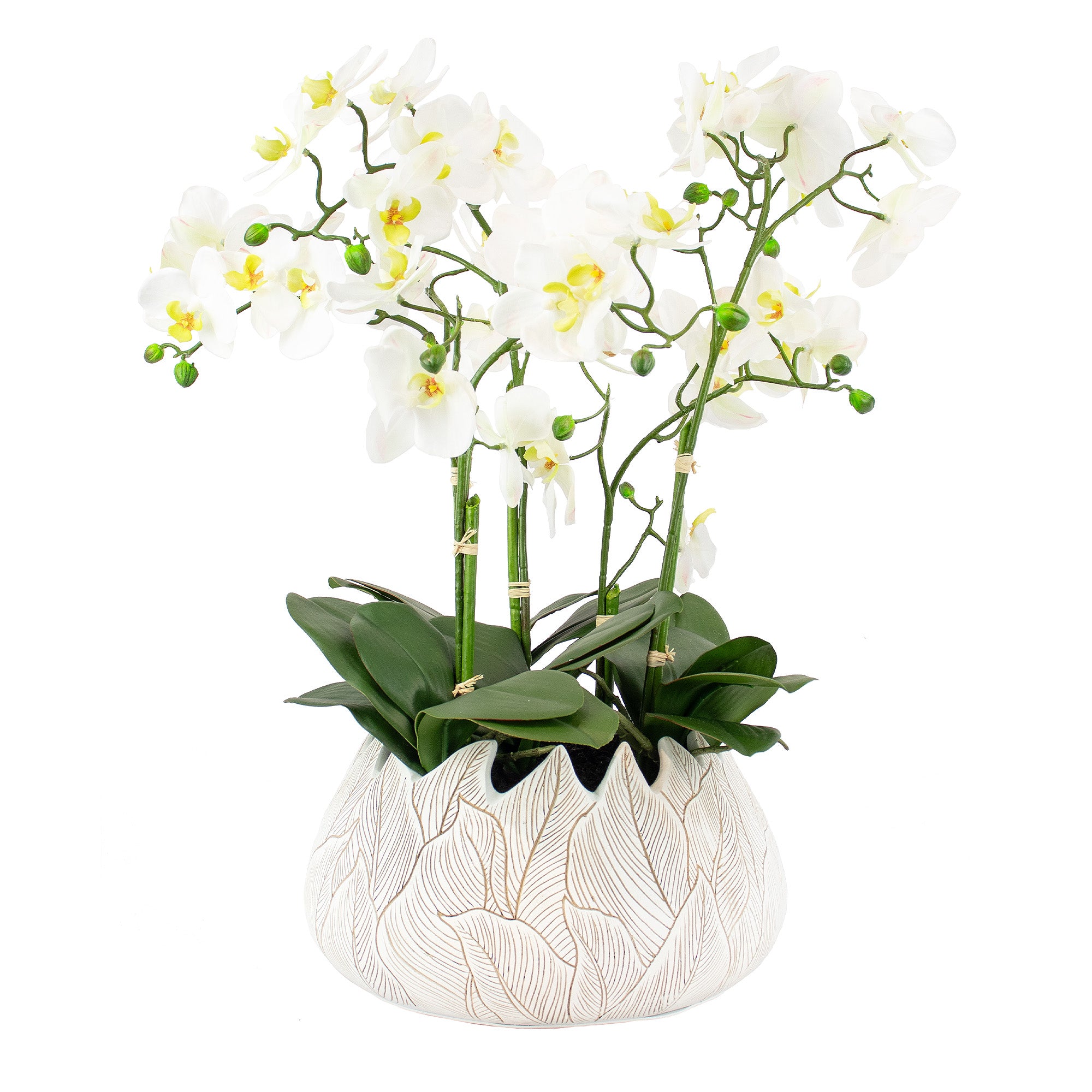 55cm Faux White Orchid Plant in Ceramic Leaf Planter
