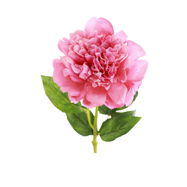 Peony Stem - Light Pink Real-Touch