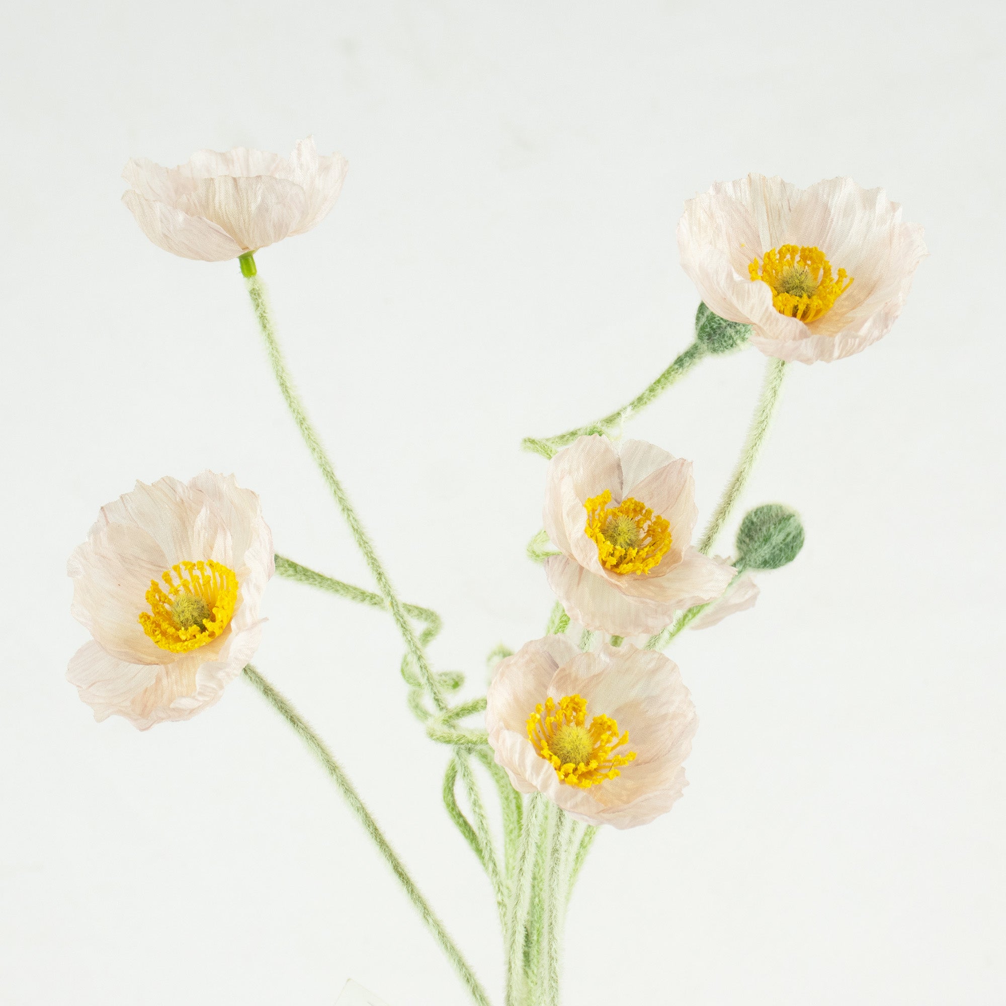 Poppy Flower & Bud Bundle - Light Pink