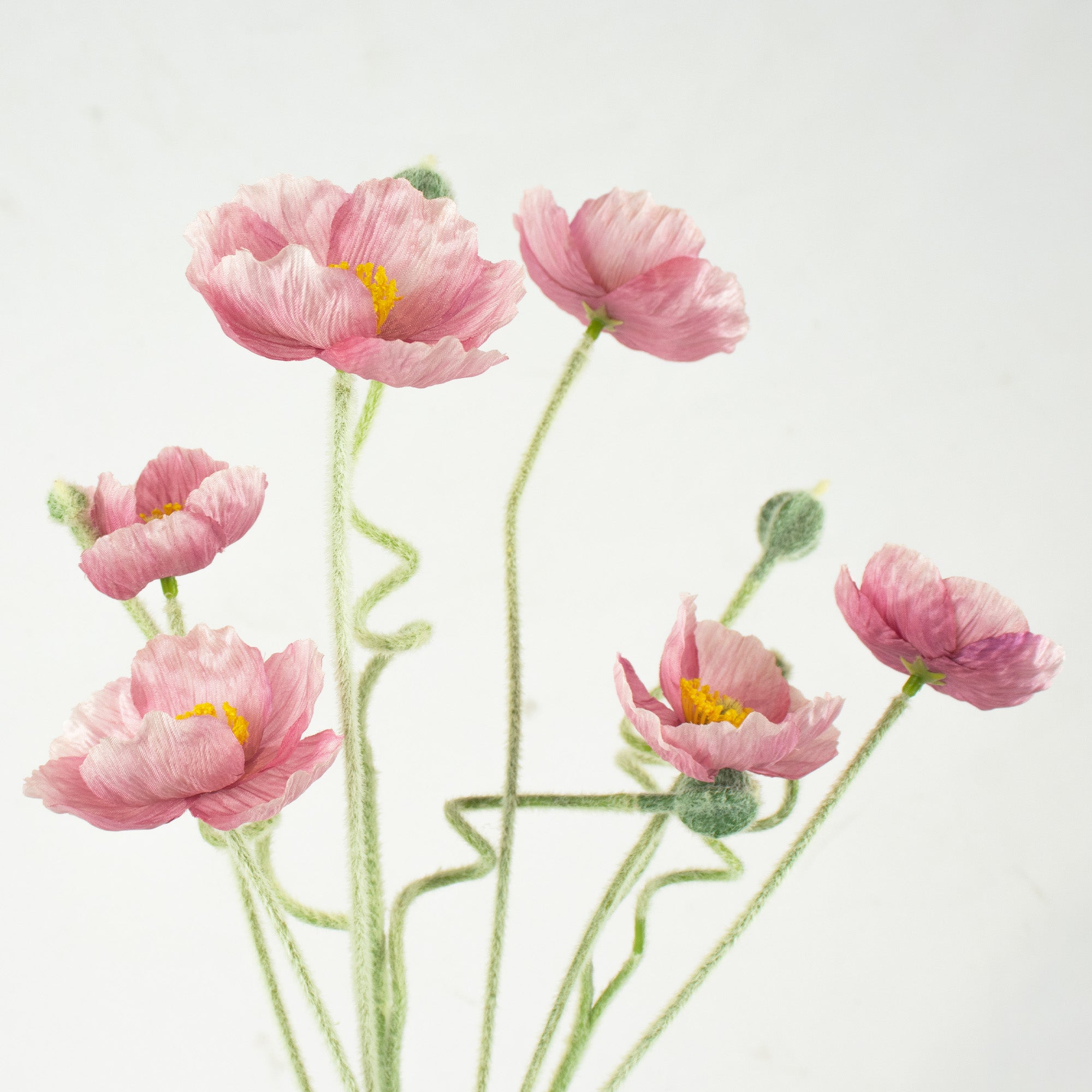 Poppy Flower & Bud Bundle - Pink