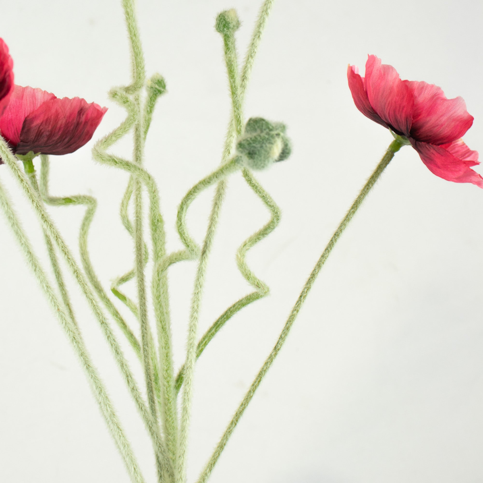 Poppy Flower & Bud Bundle - Red