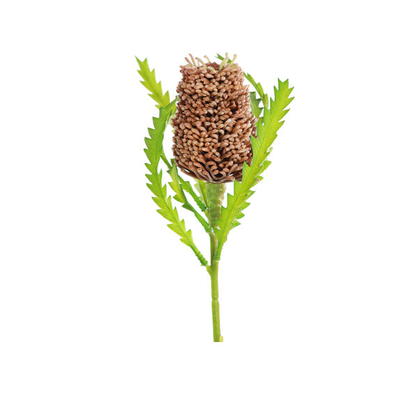Burgundy coloured artificial Bankssia flower stem