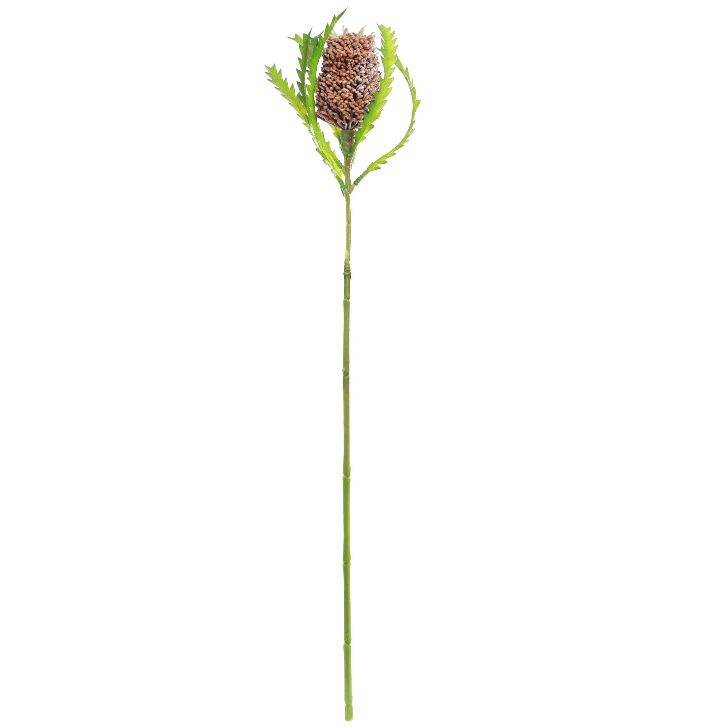 Burgundy coloured artificial Bankssia flower stem
